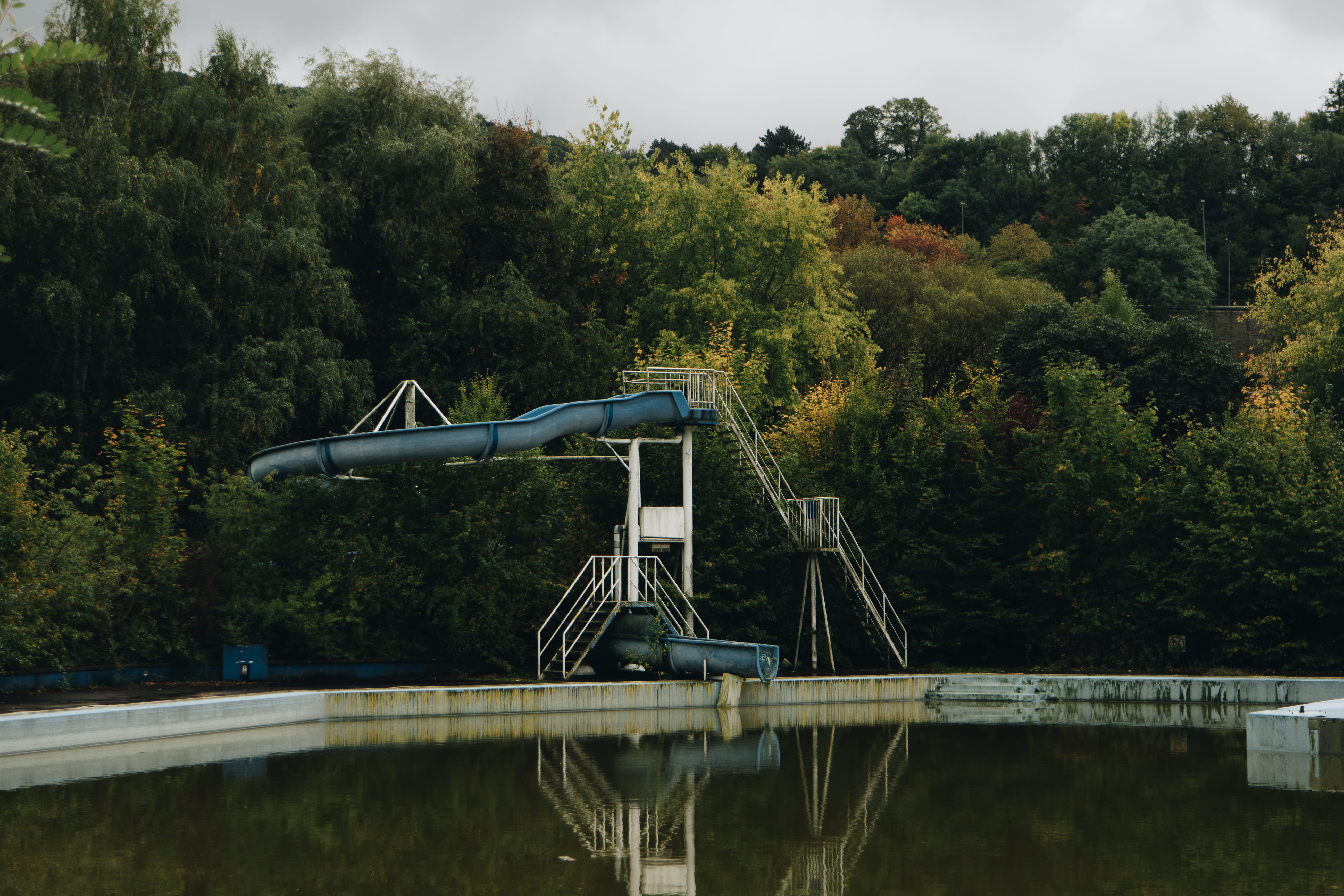 reflection, abandoned, swamp, conifer, diving platform, dark, forest, no people, belgium, bridge, pine, 5K, architecture, creepy, growth, pipeline, day, HD Wallpaper
