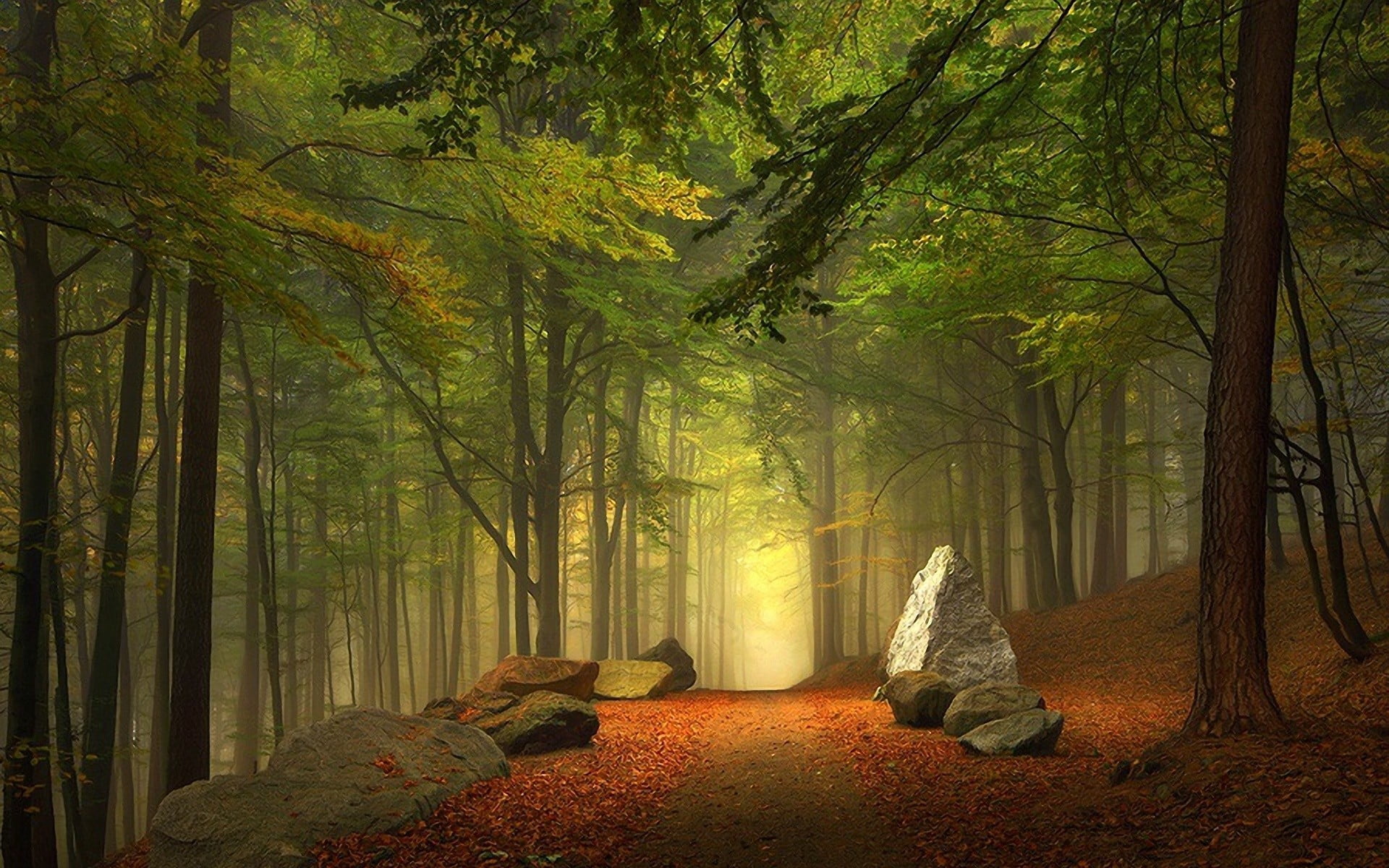 rocks, tranquility, illustration, brown, trees, mist, branch, foliage, environment, tree trunk, green color, Australia, path, beauty in nature, land, tree, HD Wallpaper