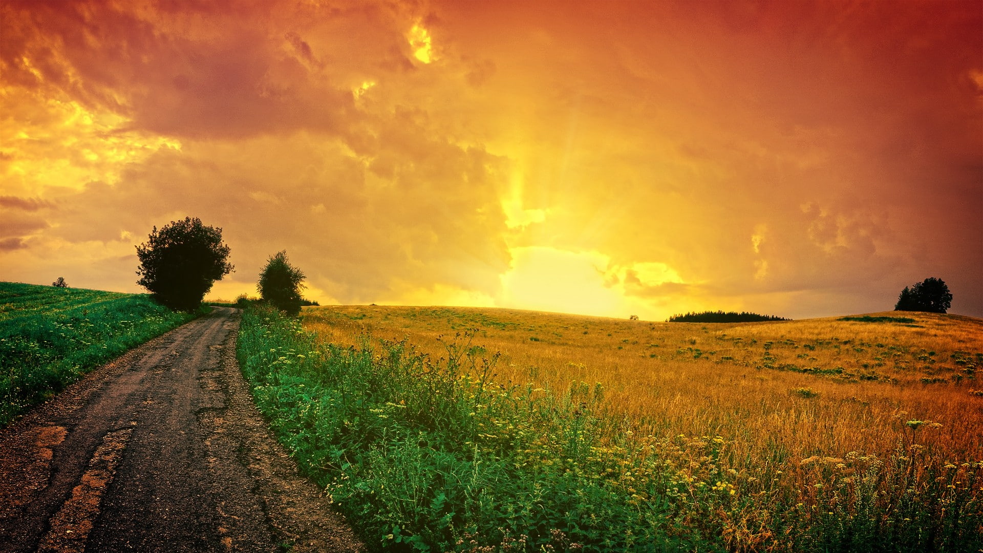 nature, road, trail, 1080P, hd, path, sunset, HD Wallpaper
