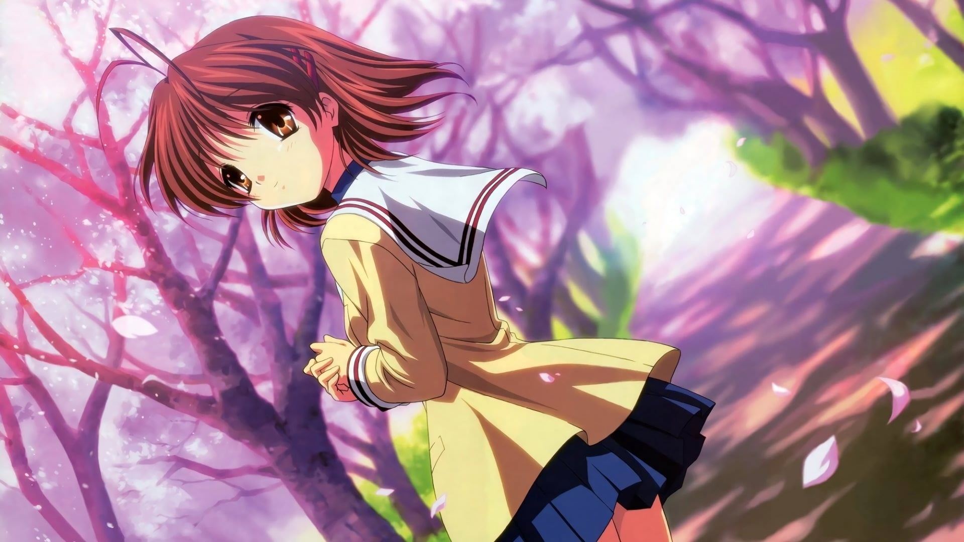 flower, representation, Furukawa Nagisa, plant, dress, close-up, multi colored, art and craft, purple, beauty in nature, clothing, real people, Clannad, HD Wallpaper