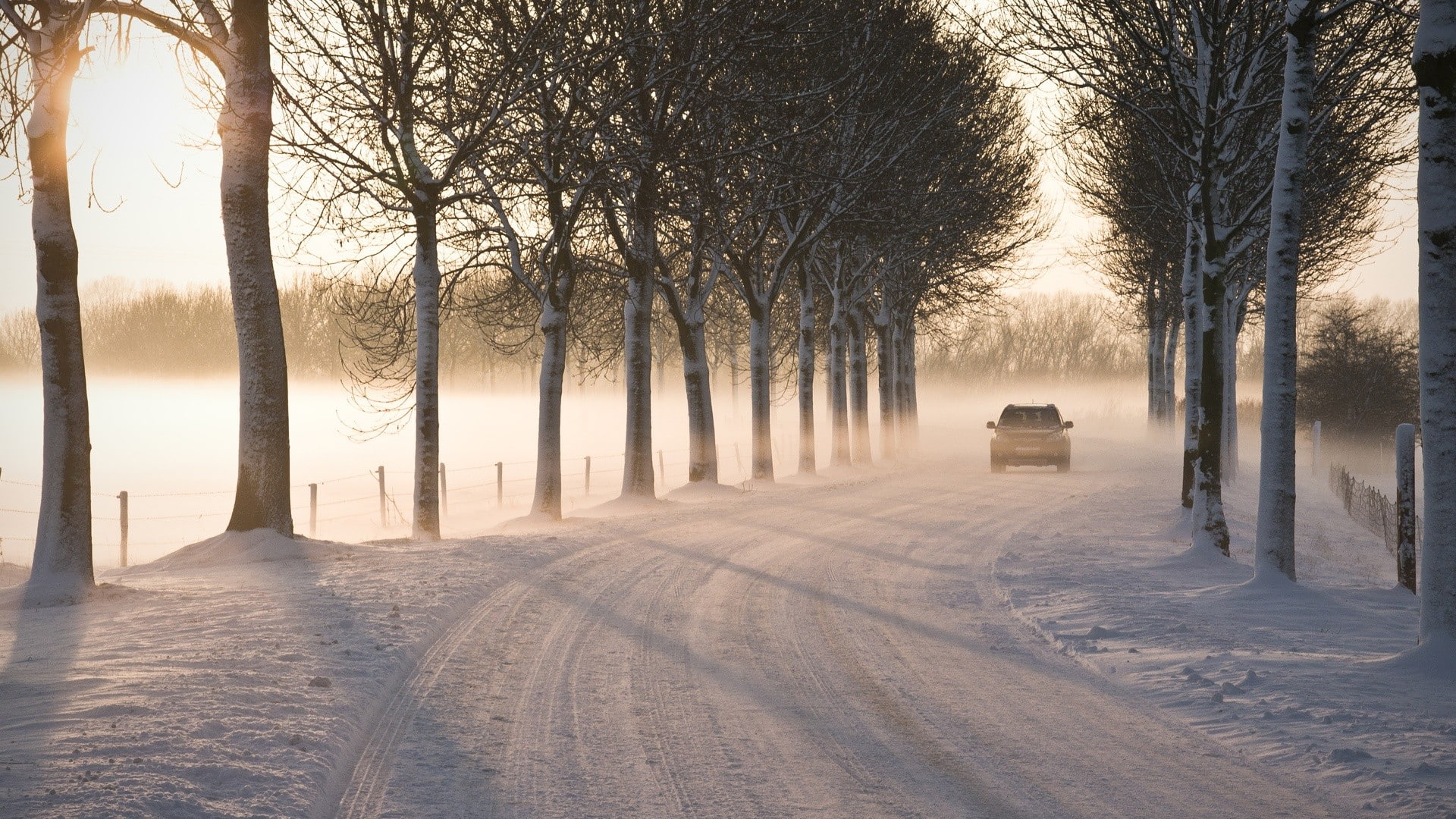 hd, sunlight, nature, path, trail, road, trees, winter, 1080P, snow, HD Wallpaper