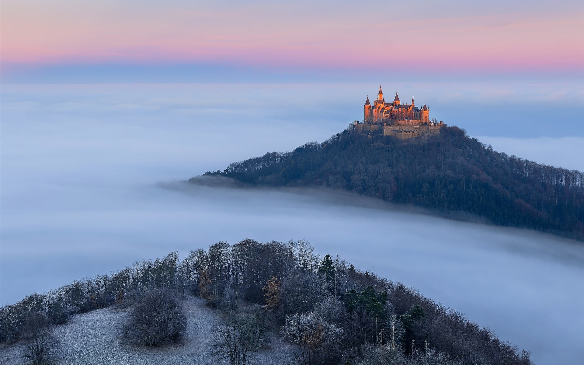Fog, Autumn, Trees, Hohenzollern, brown, Germany, 1080P, Castle, HD Wallpaper