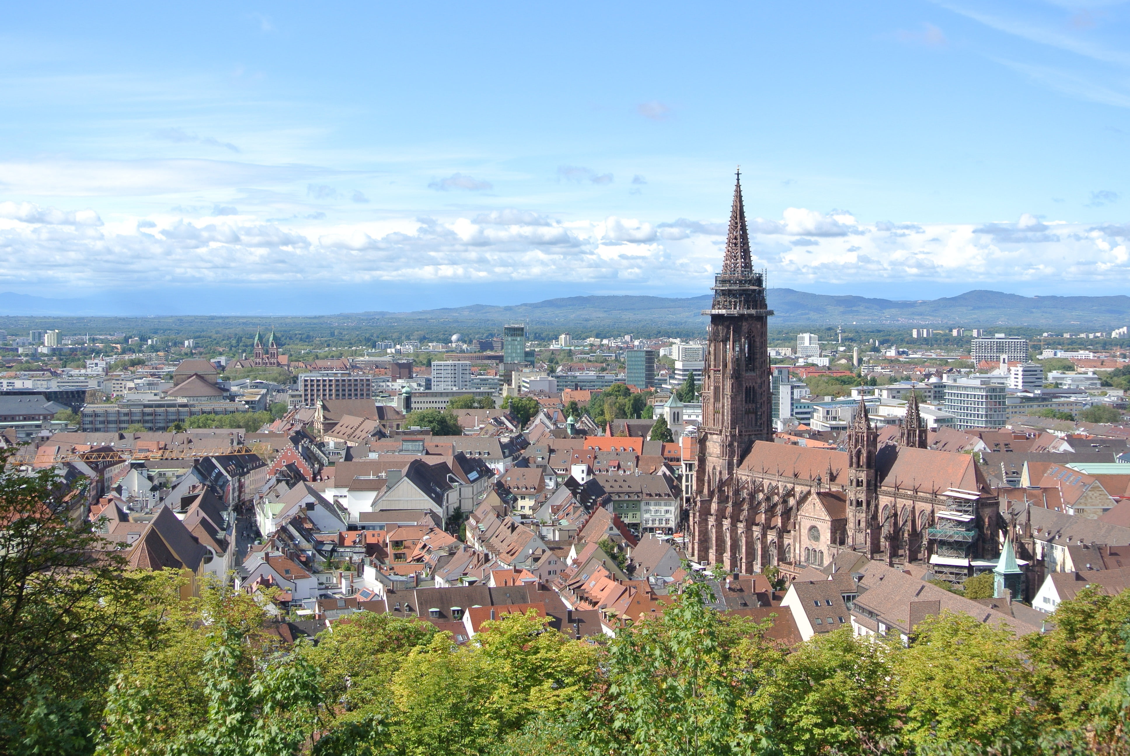 community, spire, built structure, day, religion, munster, old, nature, model, sky, building, architecture, crowd, breisgau, cathedral, freiburg, aerial, HD Wallpaper