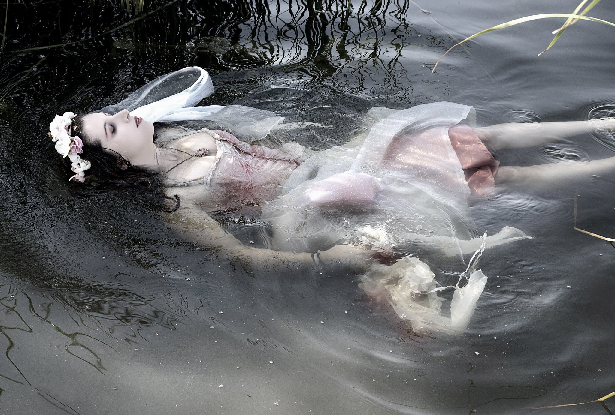 one animal, 1080P, dead, day, animal, necklace, swimming, animal themes, corpse, nature, vertebrate, waterfront, animals in the wild, outdoors, model, HD Wallpaper