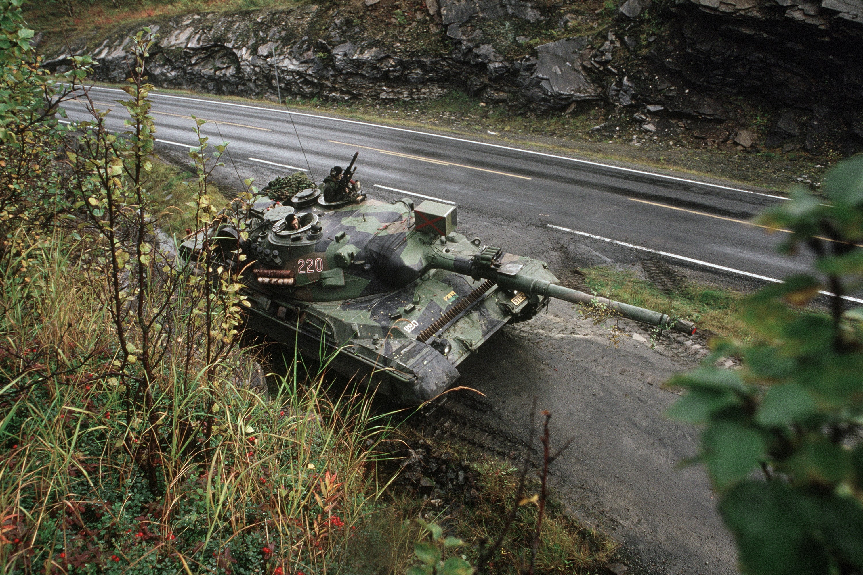 2K, leopard 1, HD Wallpaper
