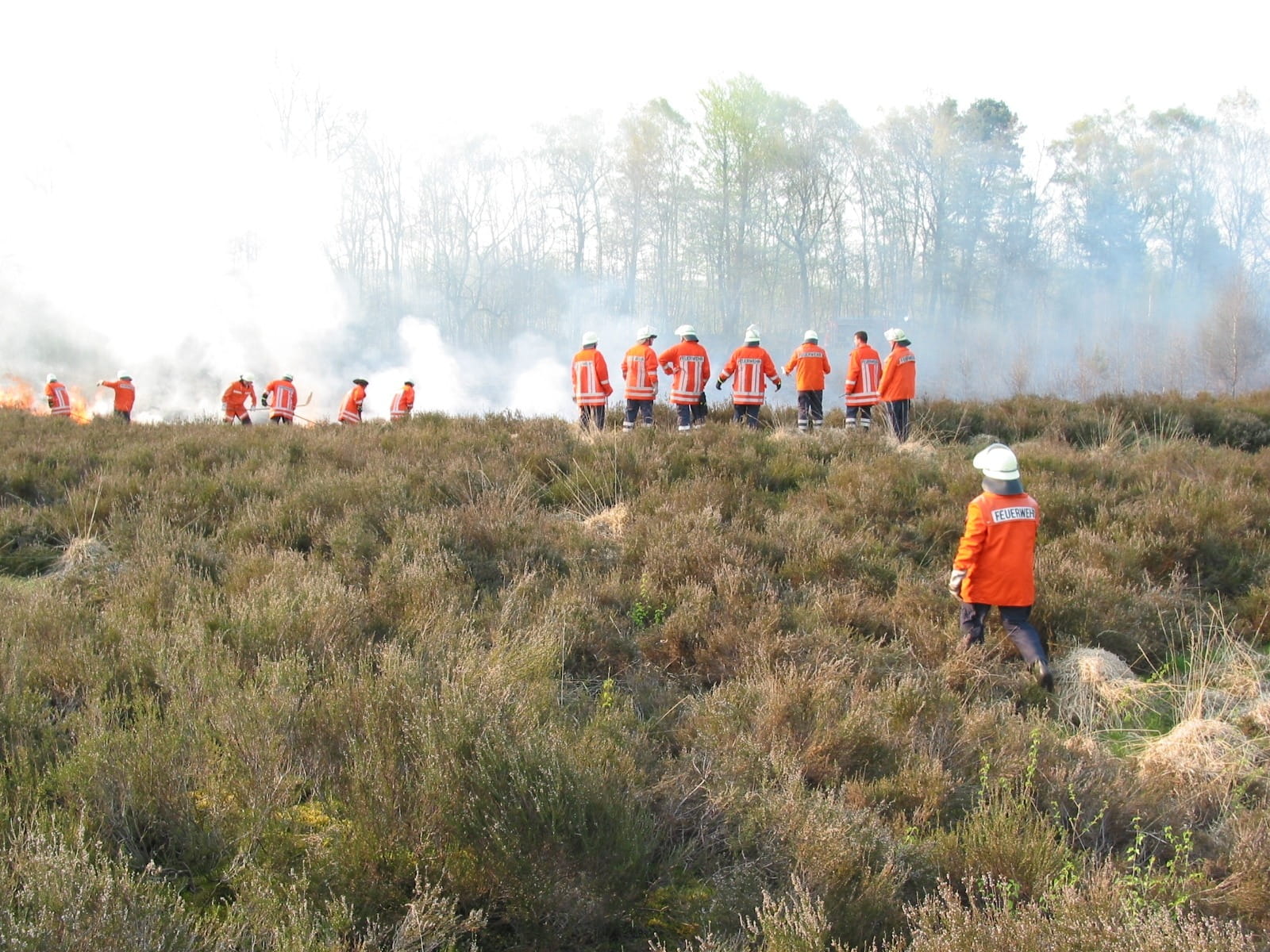 group of people, crowd, nature, red, smoke - physical structure, land, adults only, people, rear view, day, plant, fire fighting attack, men, field, large group of people, HD Wallpaper