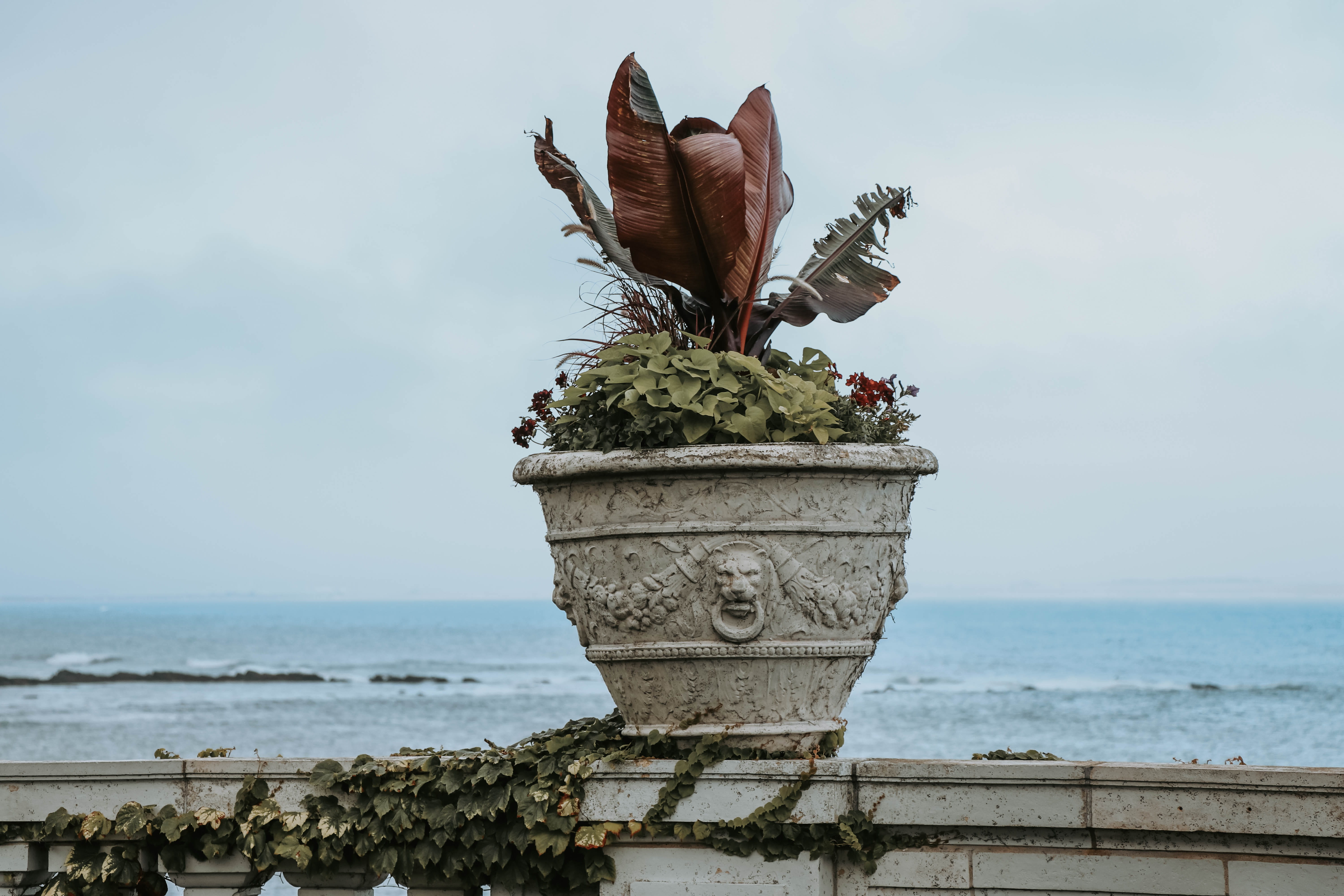 photoart, horizon, newport, beach, rosecliff, sky, art, art and craft, beauty in nature, outdoors, united states, craft, representation, potted plant, 5K, HD Wallpaper