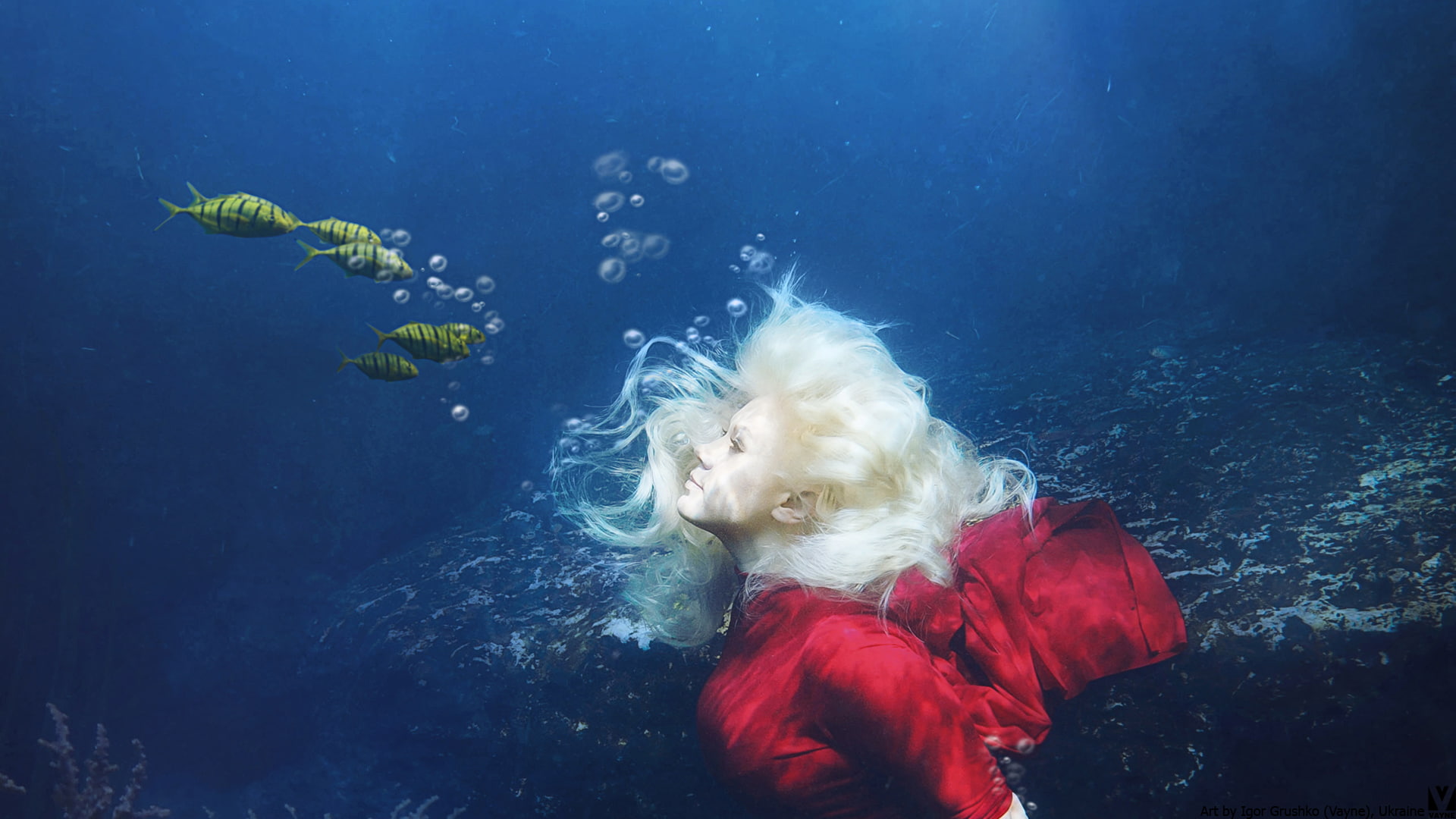 invertebrate, blond hair, one person, animals in the wild, animal themes, fish, water, childhood, fishes, green, innocence, sea life, group of animals, HD Wallpaper