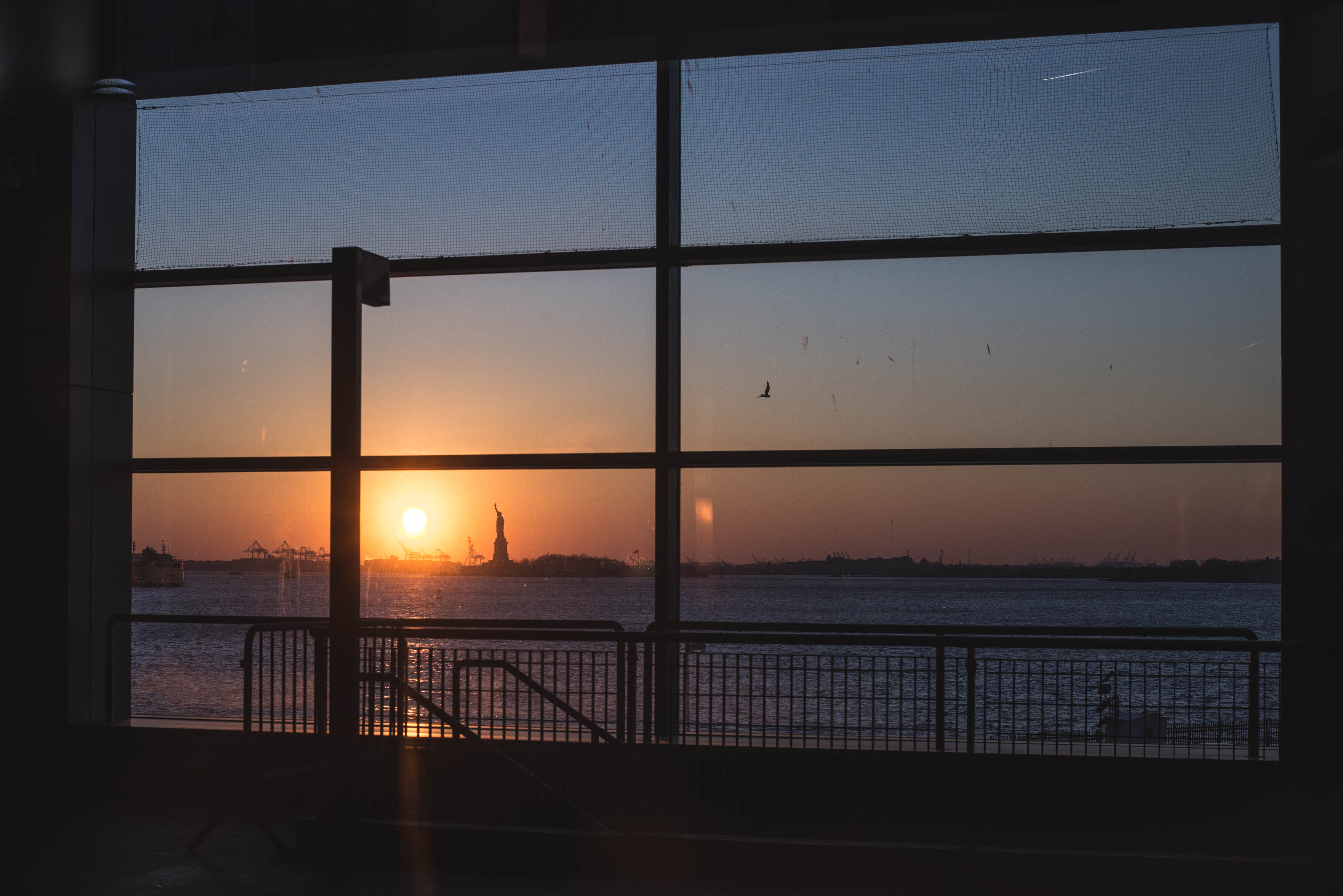 golden, scenics - nature, horizon over water, railing, no people, sunlight, flare, banister, sea, animal, glass, beauty in nature, dawn, silhouette, dusk, HD Wallpaper