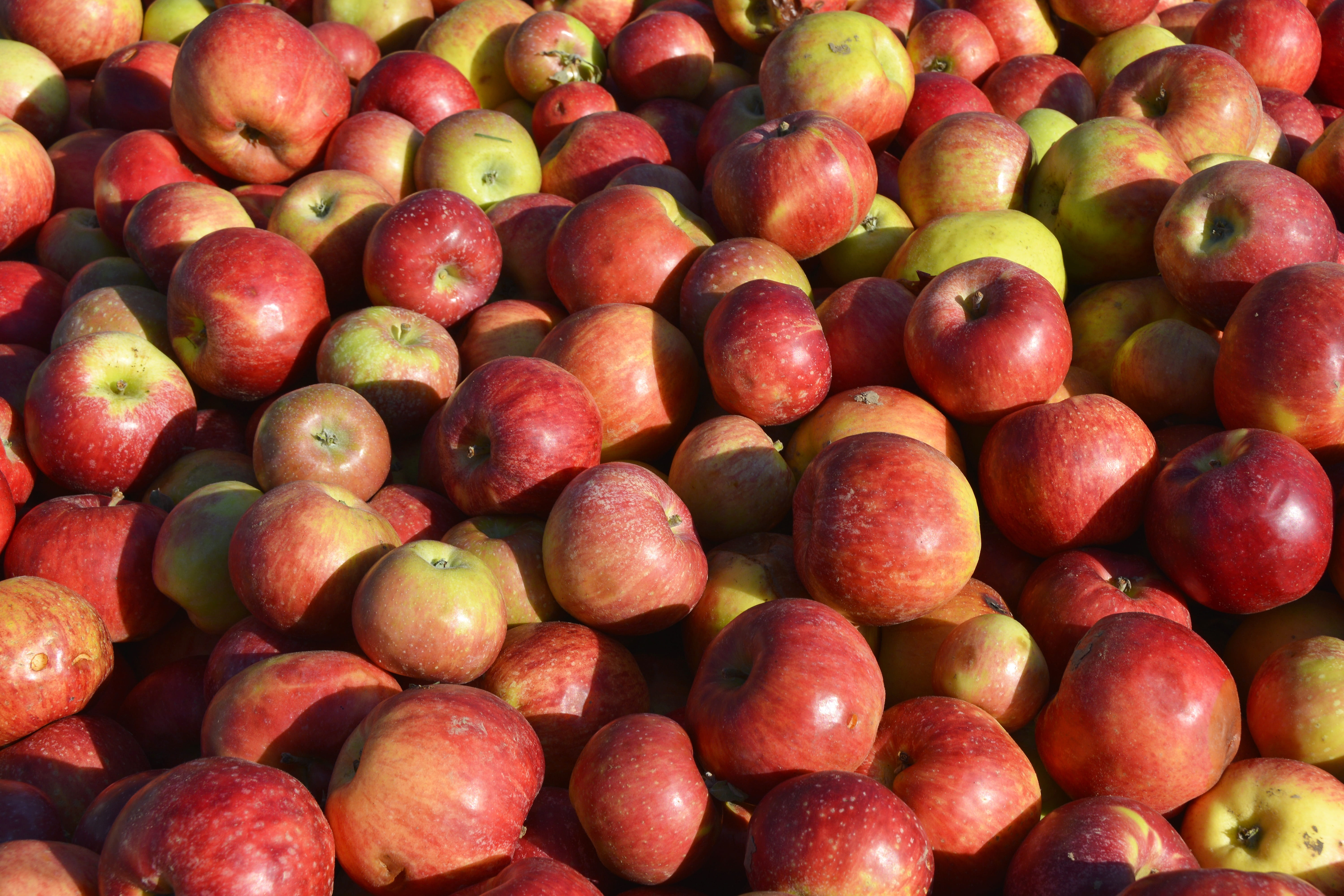 full frame, market, retail, food, nutrition, market stall, 5K, no people, apple orchard, food and drink, red, delicious, kernobstgewaechs, apple, for sale, HD Wallpaper