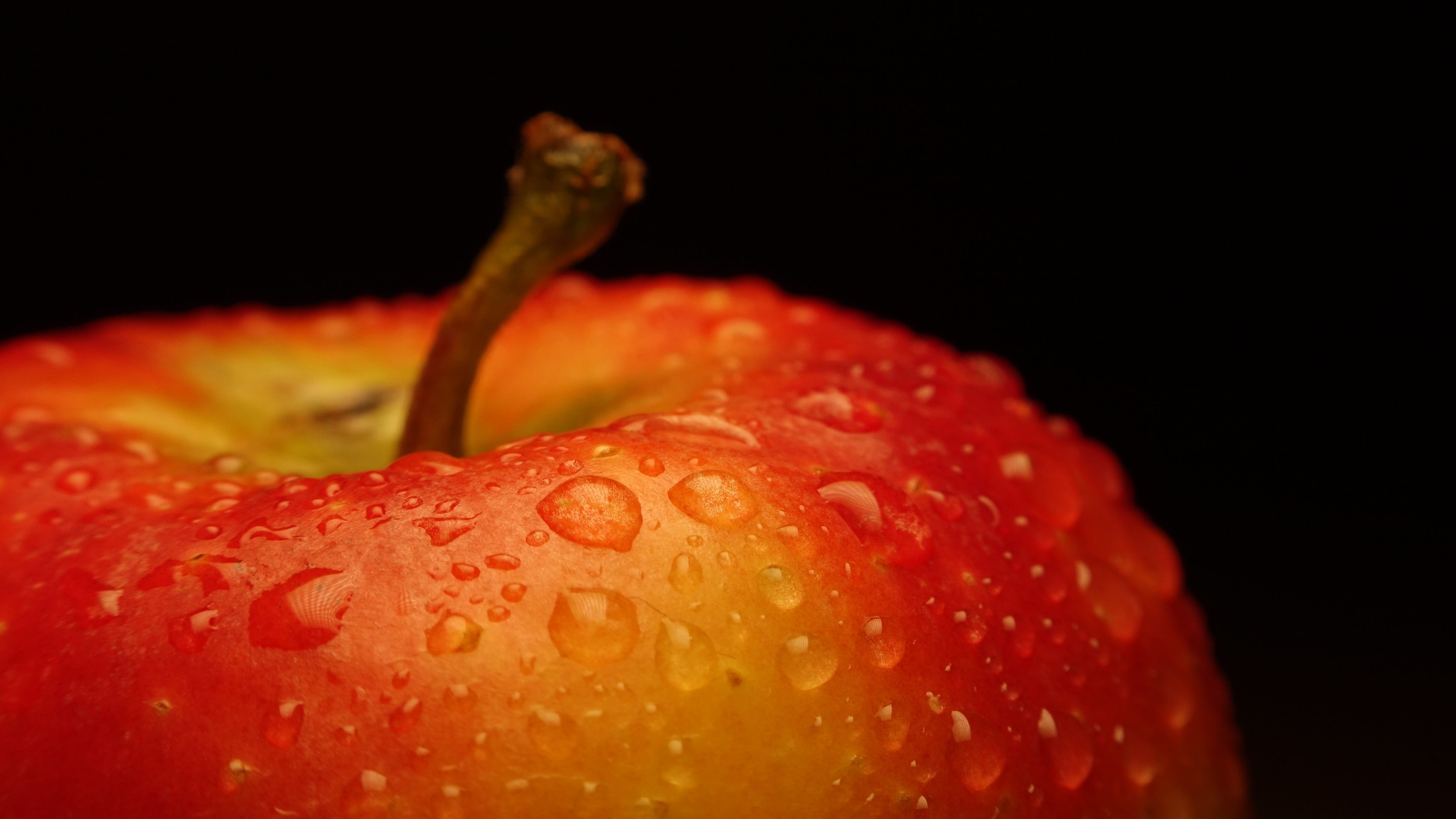wellbeing, apple, food and drink, black background, eat, red, strawberry, vegetarian, fruit, wet, studio shot, fruits, freshness, temptation, flower, gardening, HD Wallpaper