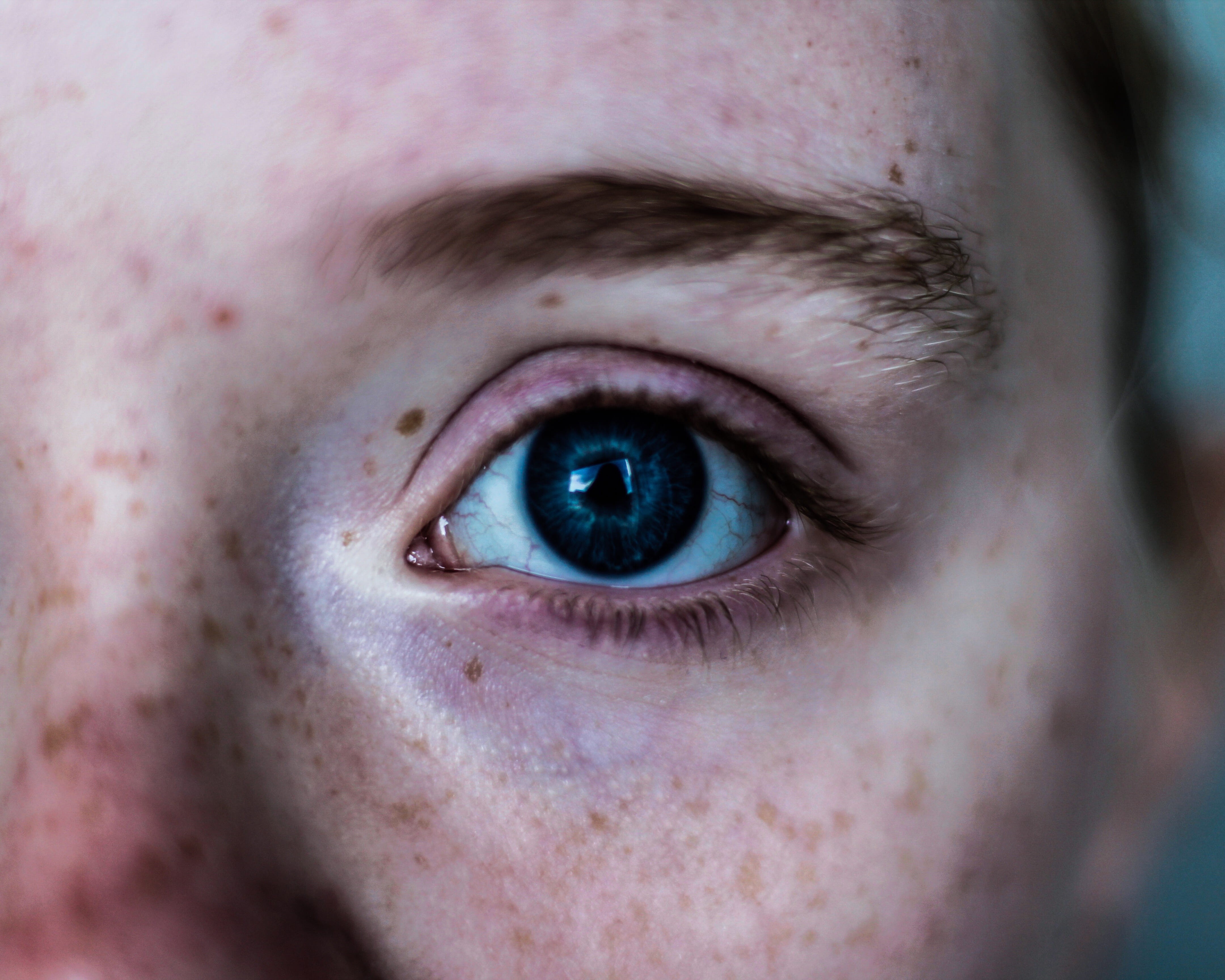 blue eyes, eyeball, body part, freckles, human body part, close-up, photo, iris - eye, skin, human face, s, 4K, eyelashes, eyelid, human eye, looking at camera, HD Wallpaper