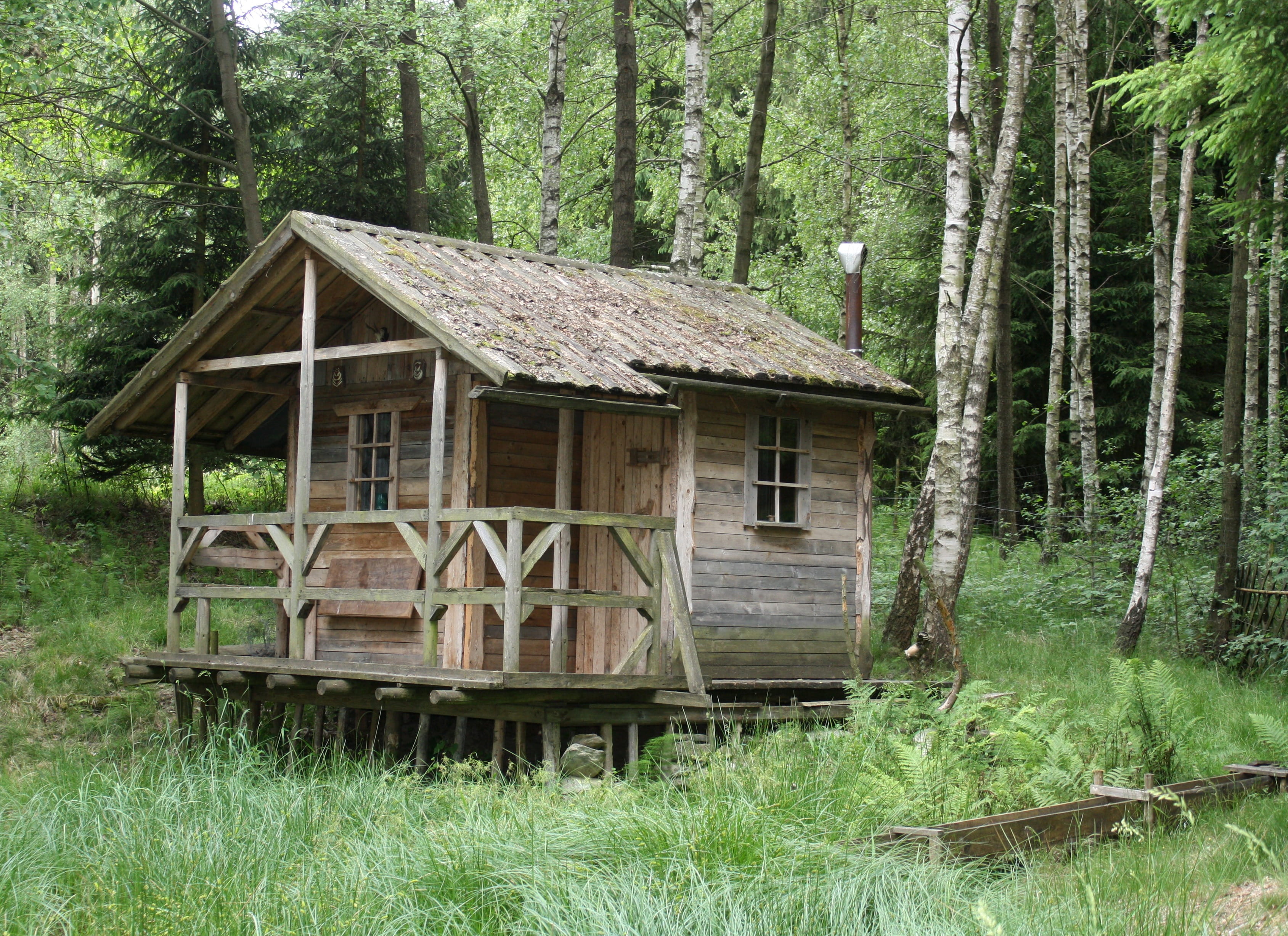 architecture, relaxation, building exterior, house, hut, forest, fishing hut, 2K, grass, non-urban scene, built structure, rural Scene, tree trunk, green color, HD Wallpaper