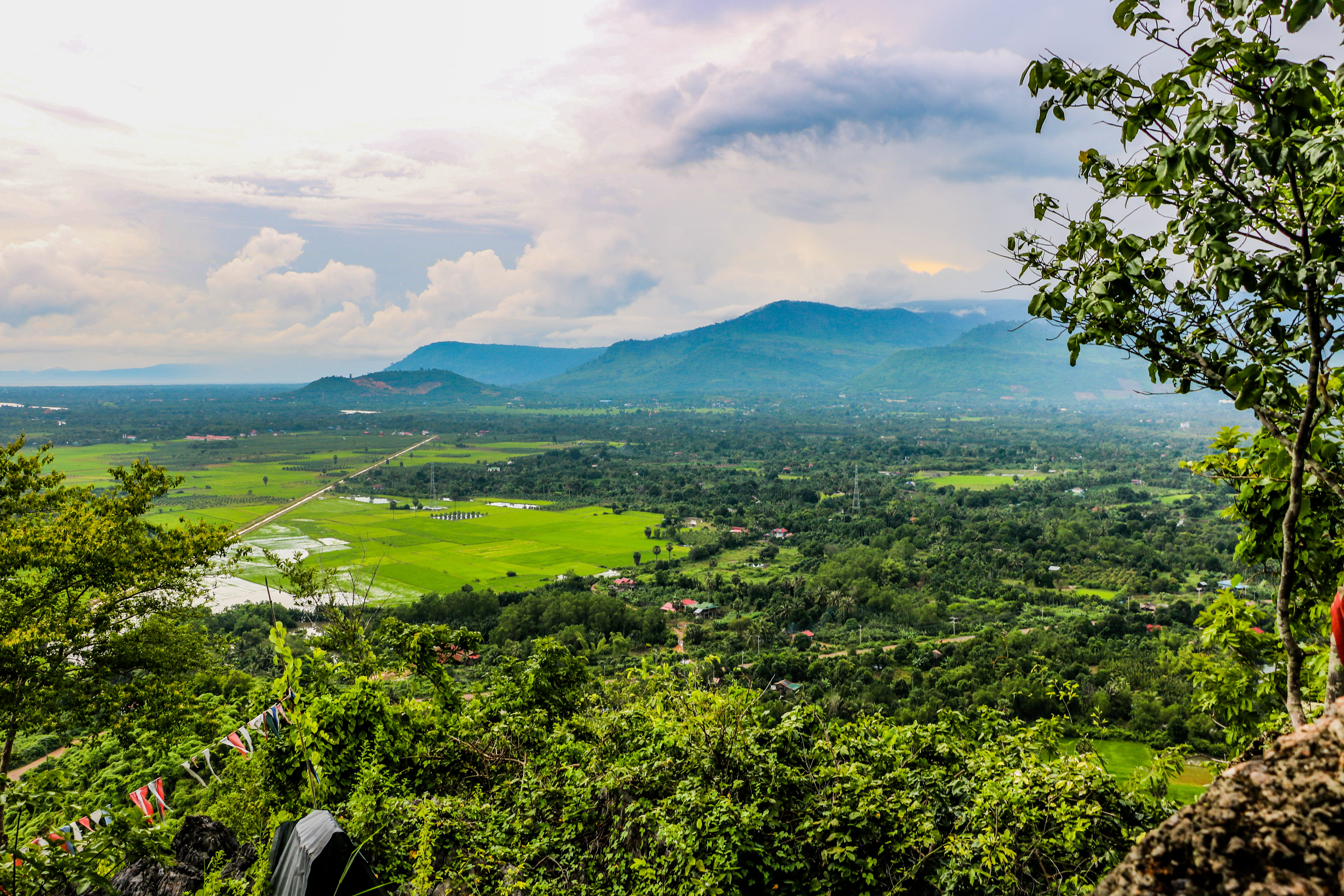 flags, idyllic, no people, tree, nature, white mountain, plant, tranquility, land, ricefield, cloud - sky, beauty in nature, forest, mountain, day, green color, HD Wallpaper