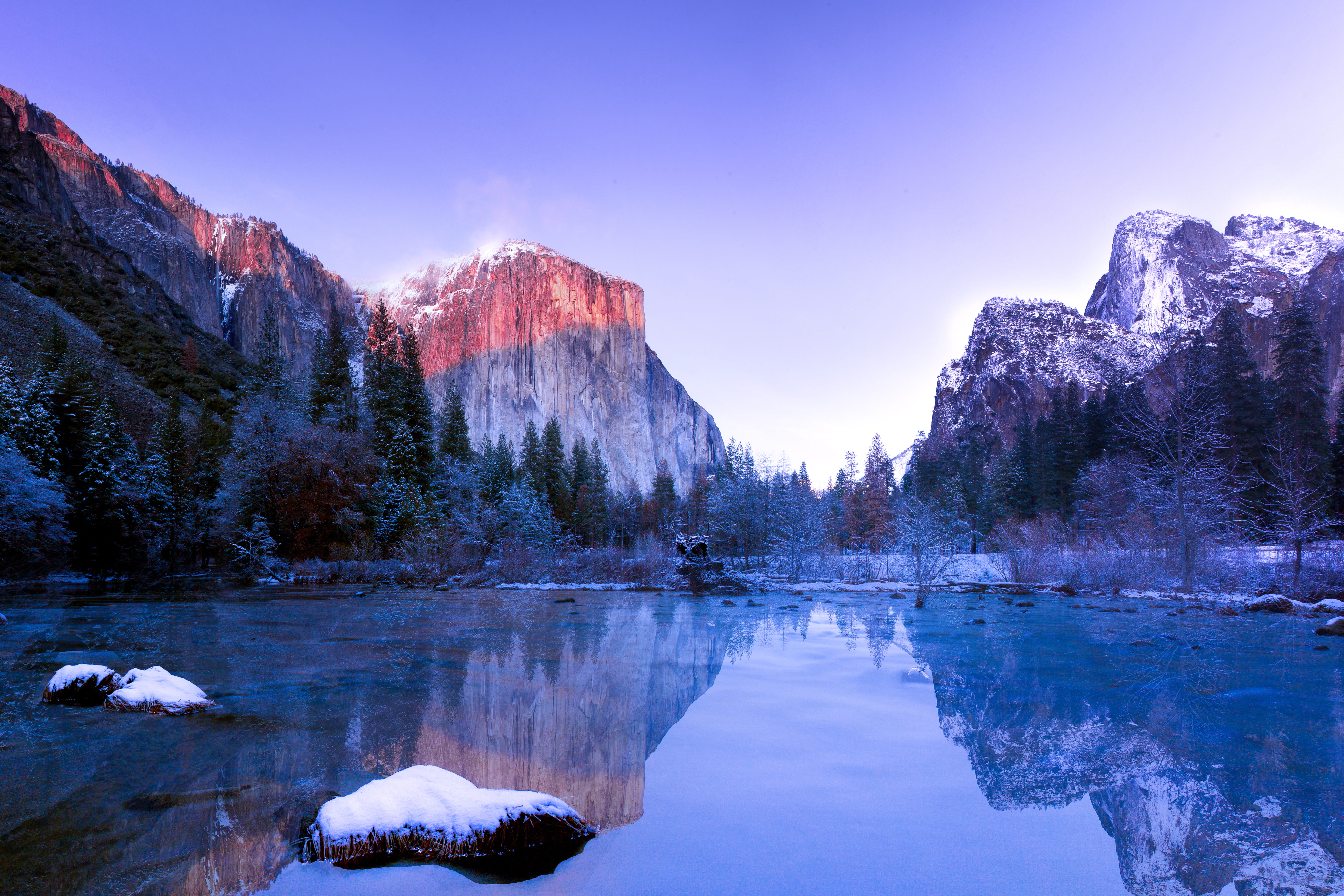 scenics, beauty In Nature, non-urban scene, tranquility, lake, reflection, extreme Terrain, 5K, photography, dolomites, tree, nature, shallow, blue, plant, HD Wallpaper