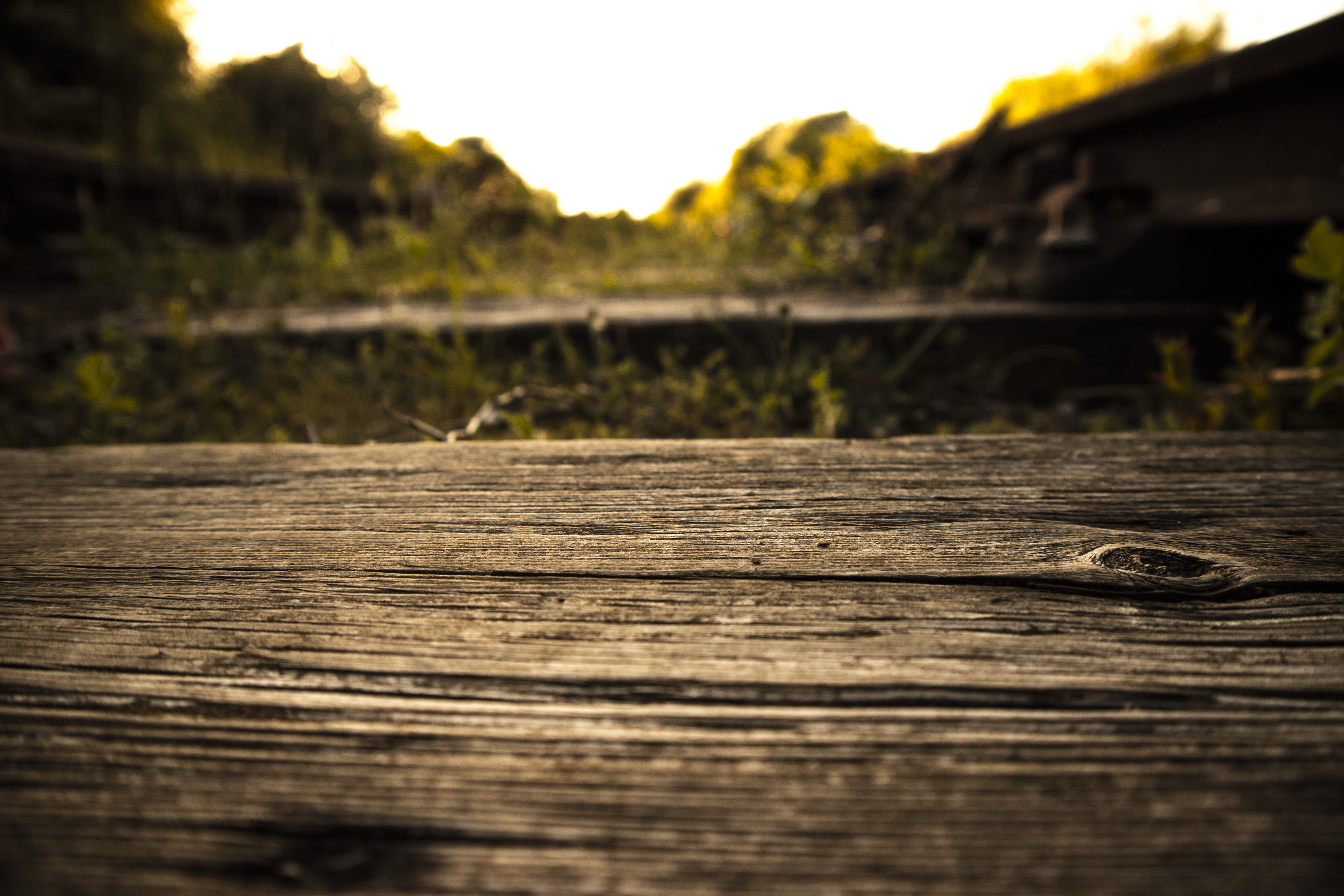 focus, board, sea, day, scenic, wood - material, wood, 5K, no people, plank, shallow, surface level, shadow, outdoors, reflection, footpath, plant, textured, HD Wallpaper