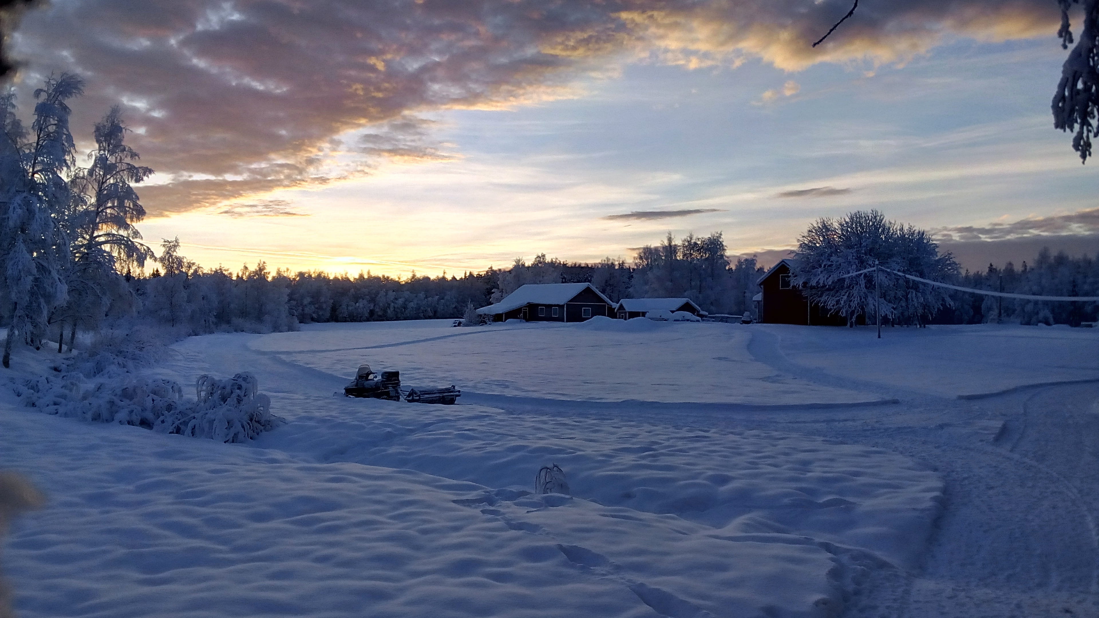 snow, trees, land, dawn, winter, 4K, tree, cold, house, outdoors, field, scenic, photography, light, environment, beauty in nature, snow landscape, nature, HD Wallpaper
