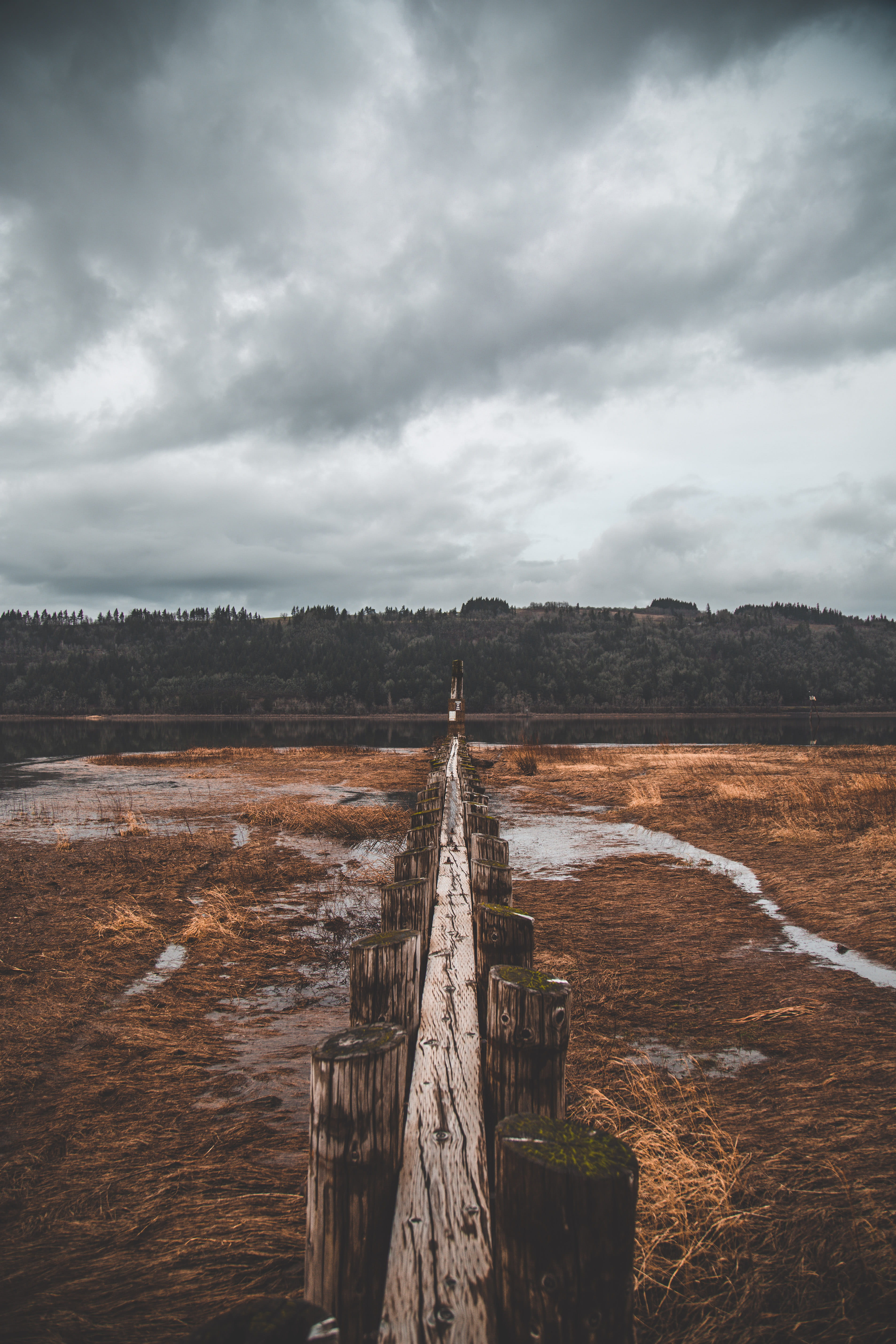 overcast, field, focus, sunset, the way forward, sky, tranquil scene, cloudy skies, brown, trees, nature, clouds, 5K, scenics - nature, non-urban scene, Phone HD Wallpaper