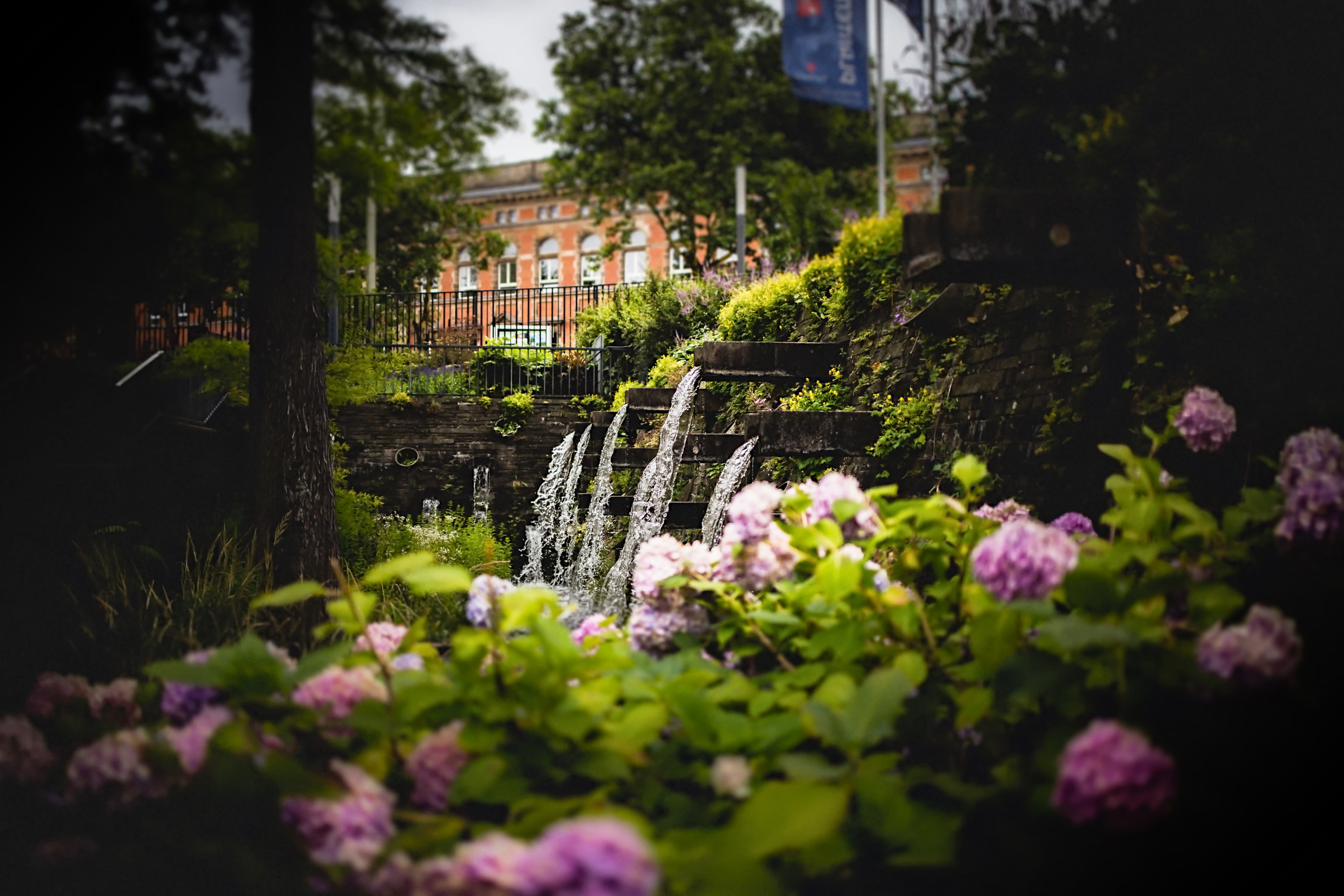 plant, no people, fountains, building exterior, architecture, focus on background, shift, park, city, built structure, building, ambient, growth, relaxing, HD Wallpaper