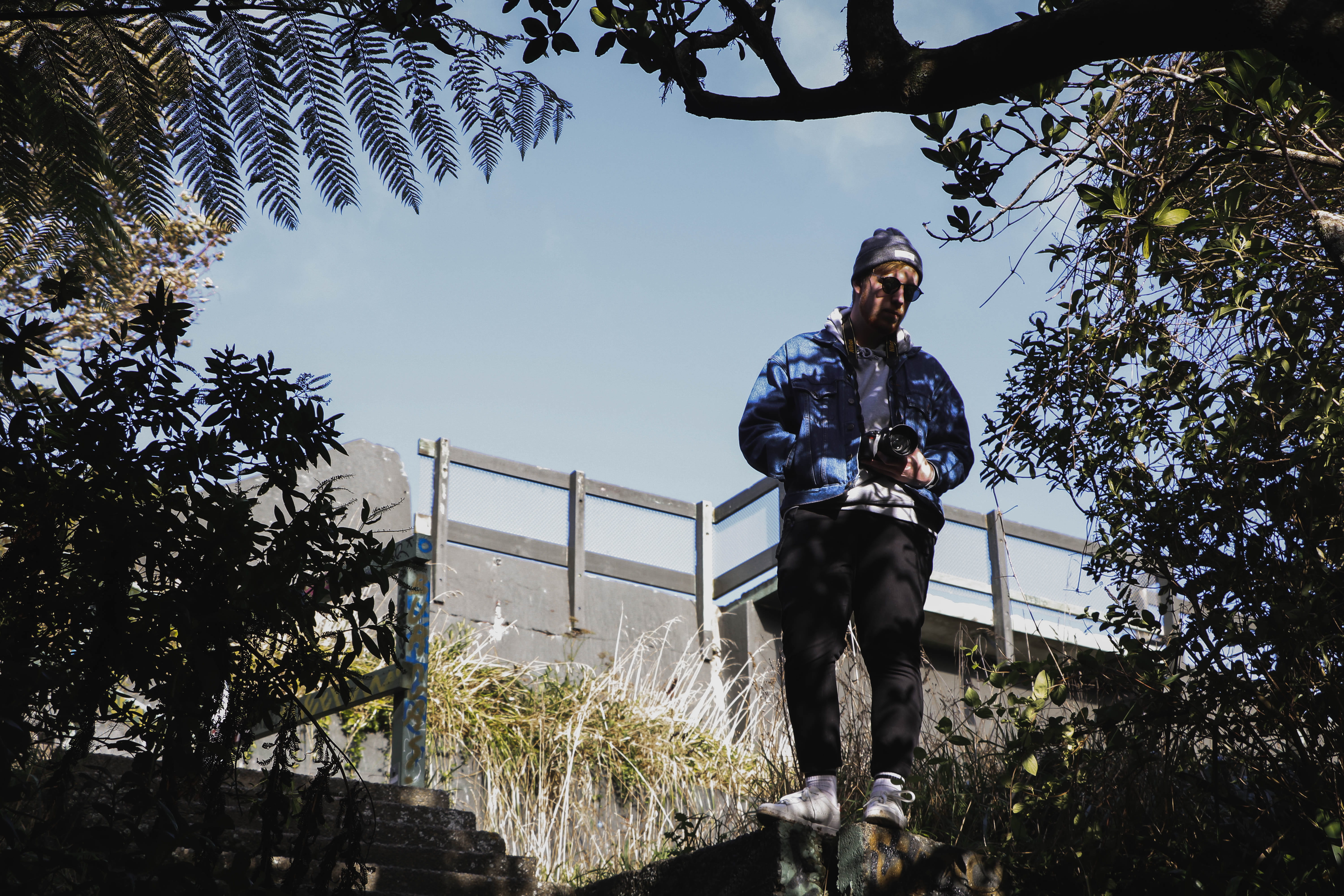 canon, young men, dslr, aro valley, wellington, standing, growth, outdoors, young adult, trees, human, new zealand, tree, hills, ambient, ferns, real people, HD Wallpaper