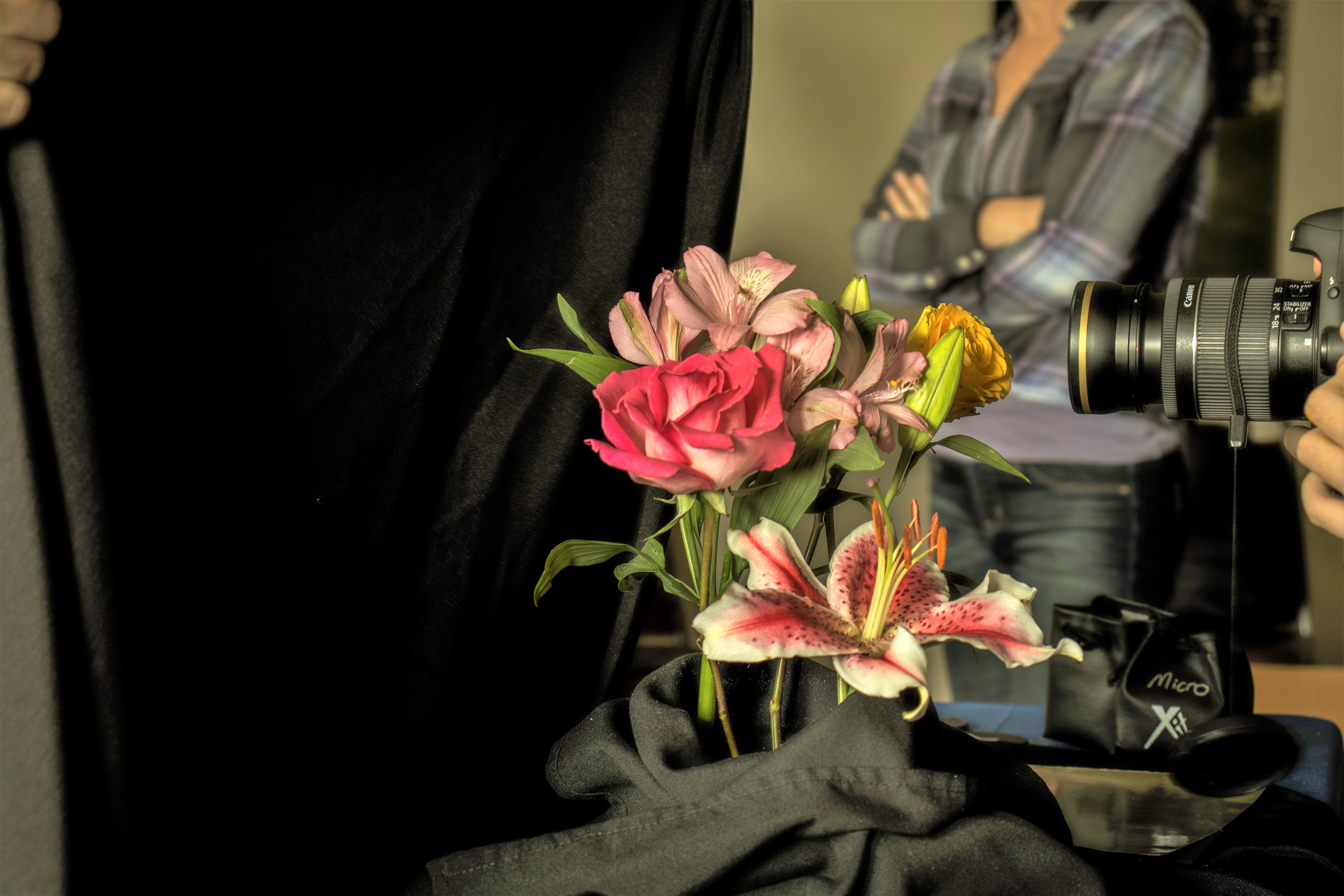 real people, plant, fragility, close-up, men, flower head, photographer, lighting, occupation, midsection, nature, optics, photo class, camera, flower, HD Wallpaper