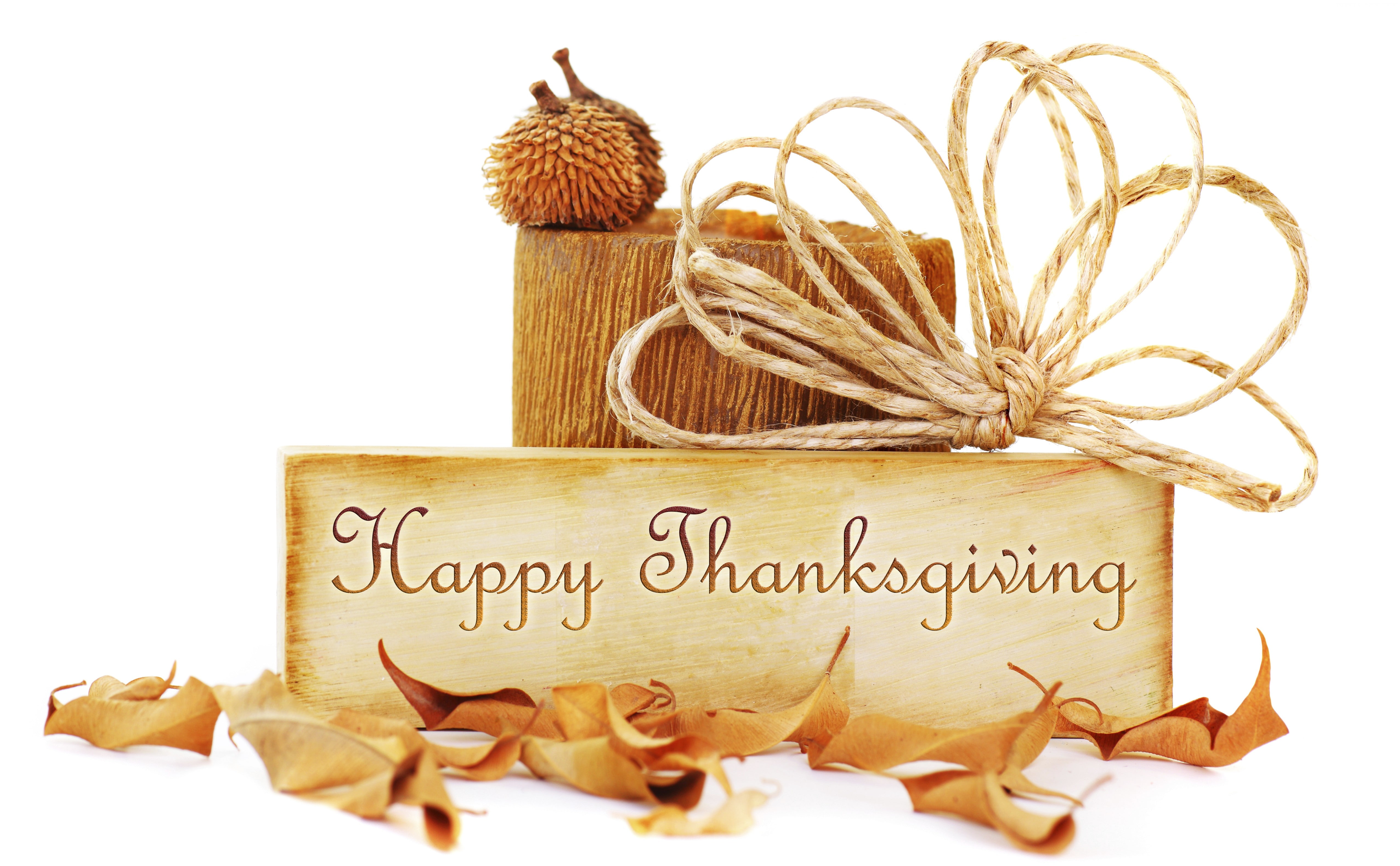 USA, 4K, pumpkin pie, Thanksgiving Day, event, family, parade, Canada, turkey, HD Wallpaper