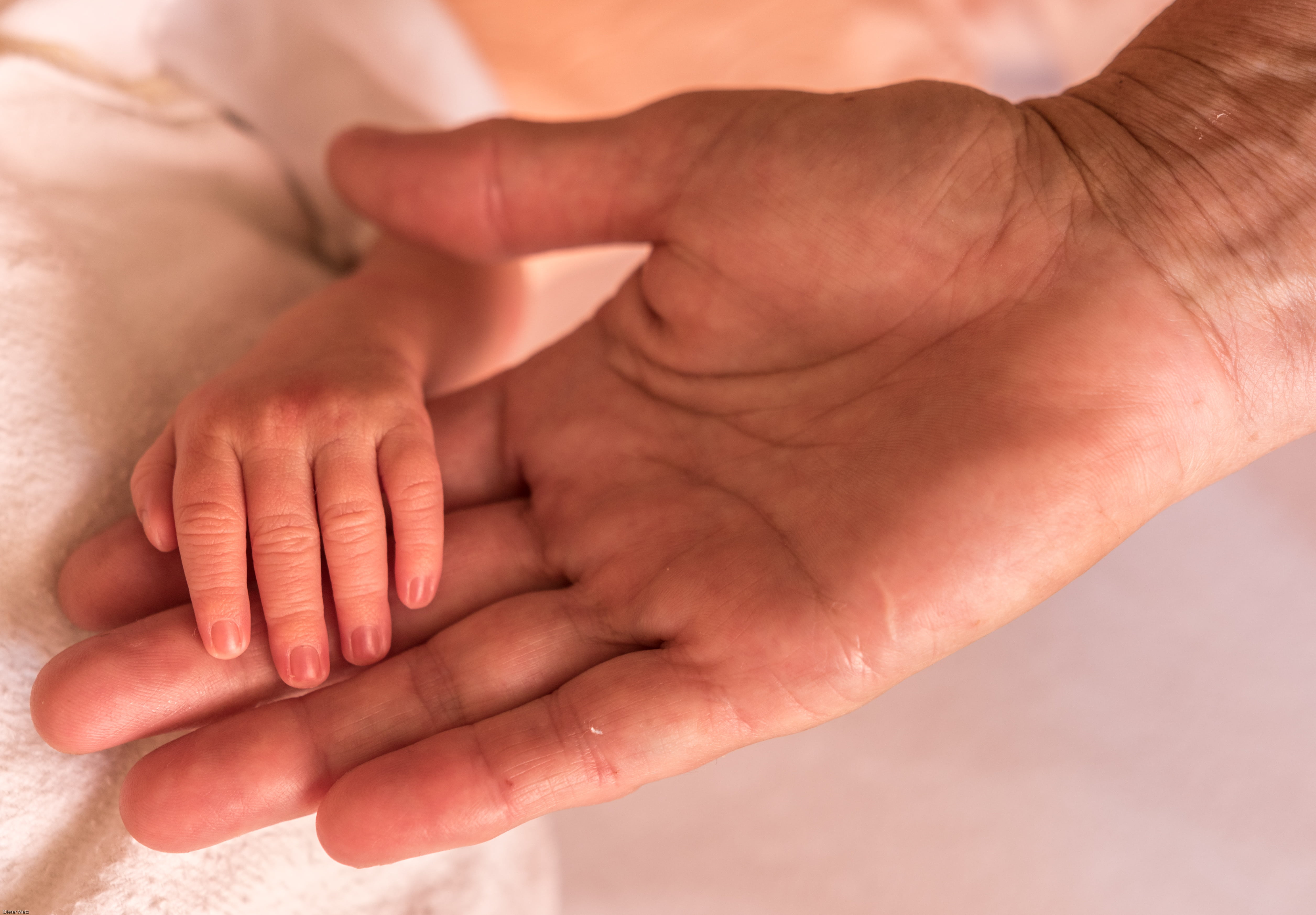 security, togetherness, human finger, left, close-up, skin, human, positive emotion, children, adult, handshake, trust, body part, hand in hand, 4K, take in the hand, HD Wallpaper