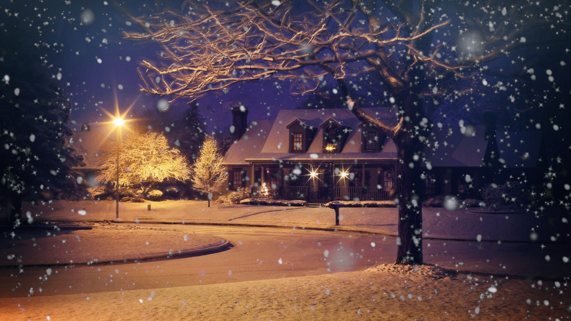 night, nature, street light, winter, snow, plant, house, tree, illuminated, beautiful, light, cold temperature, lighting equipment, blizzard, extreme weather, HD Wallpaper