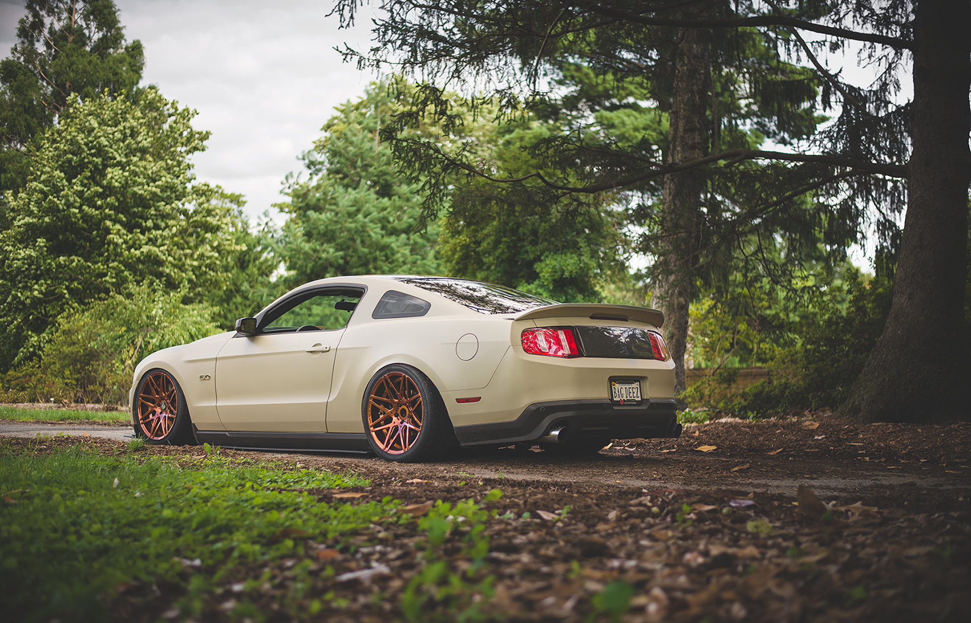 land, motor Vehicle, nature, green color, growth, driving, land Vehicle, new, modern, technology, germany, tire, engine, classic, field, gold, outdoors, HD Wallpaper