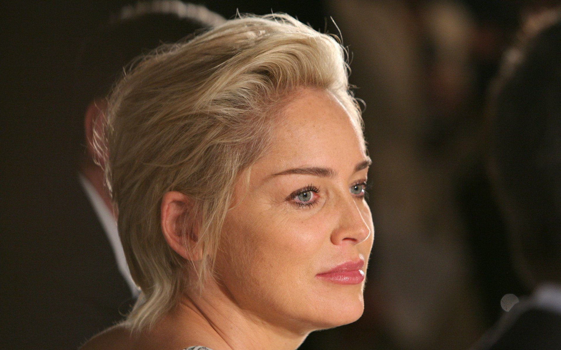 Actress, Sharon Stone, Actresses, American, 1080P, HD Wallpaper