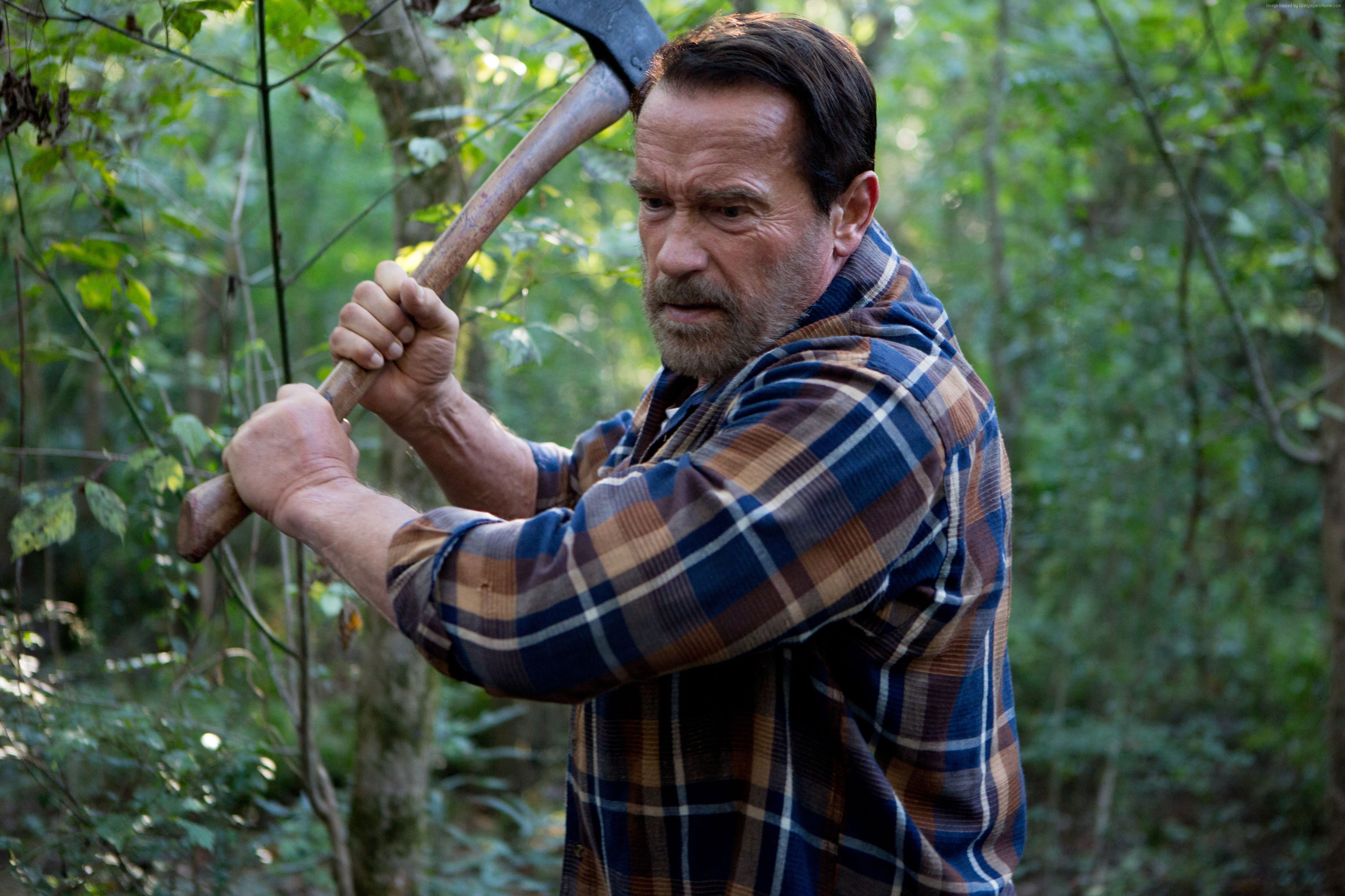 Aftermath, Arnold Schwarzenegger, best movies, 4K, HD Wallpaper