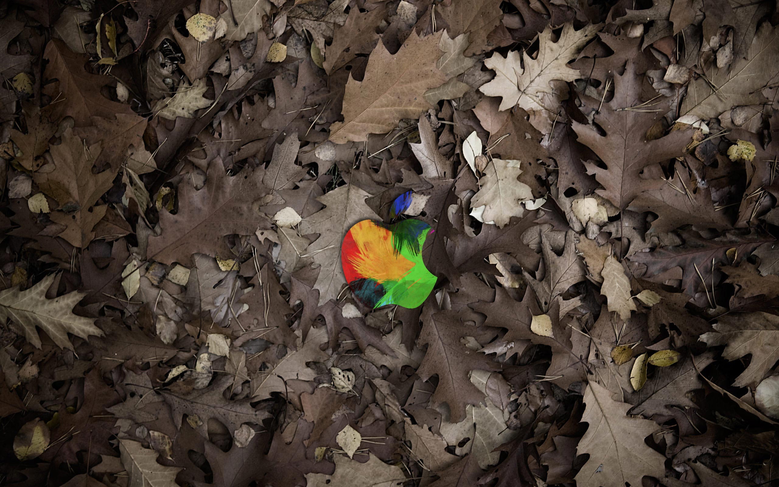 leaves, 2K, brand, technology, grey, apple, logo, HD Wallpaper