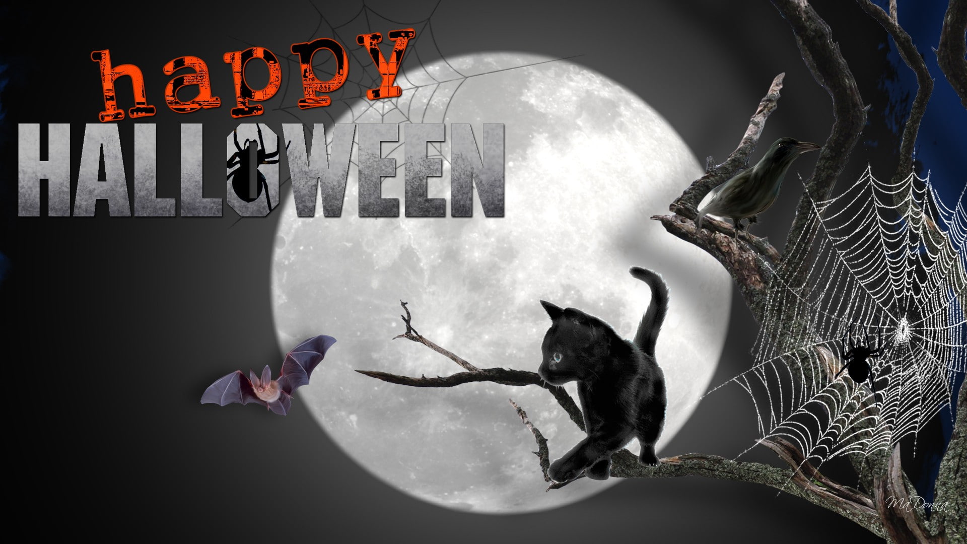 happy, cat, 1080P, scary, entertainment, full moon, Bat, Firefox Persona, art, hd, halloween, HD Wallpaper
