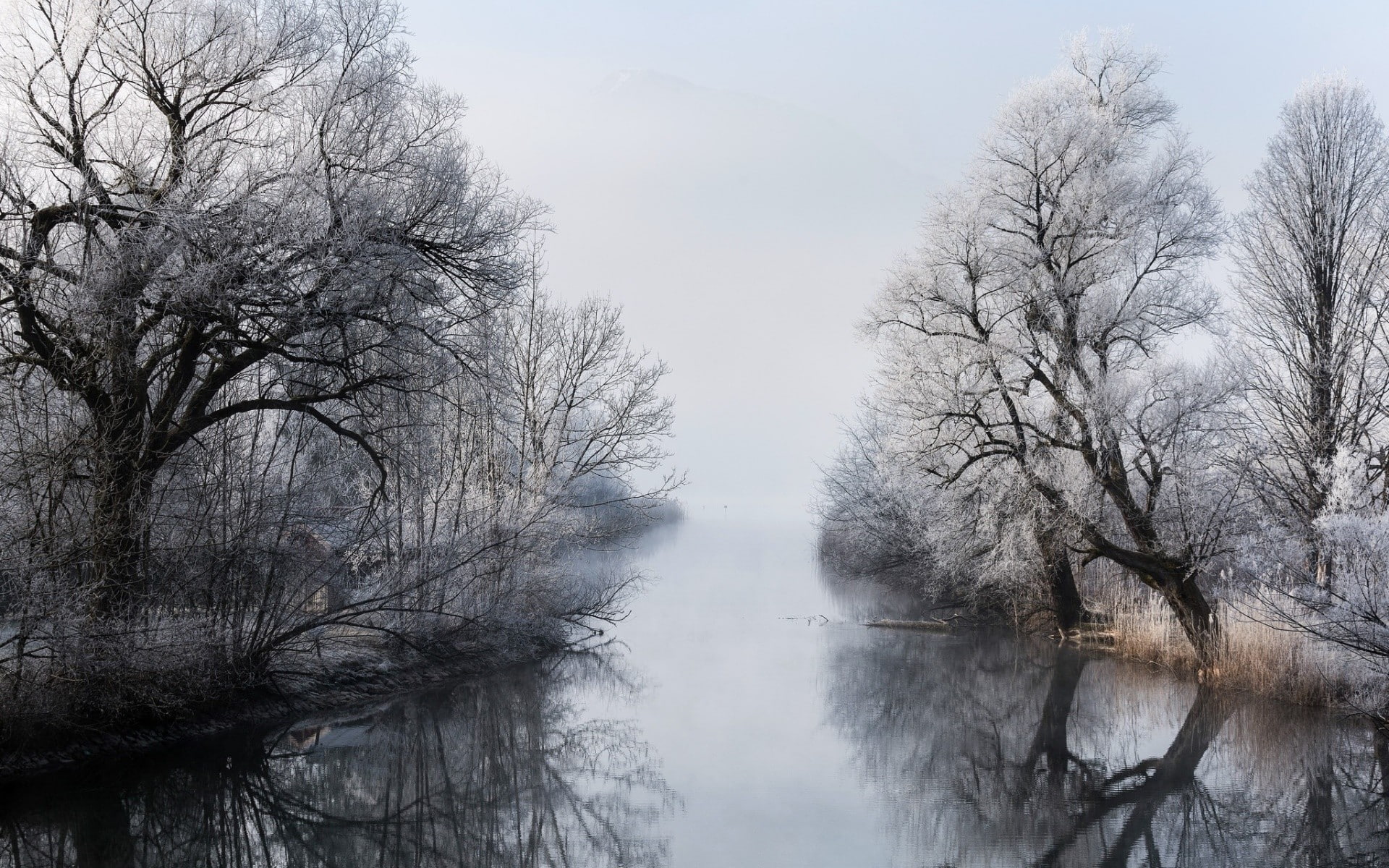 water, trees, nature, cold, 1080P, landscape, winter, reflection, ice, snow, HD Wallpaper