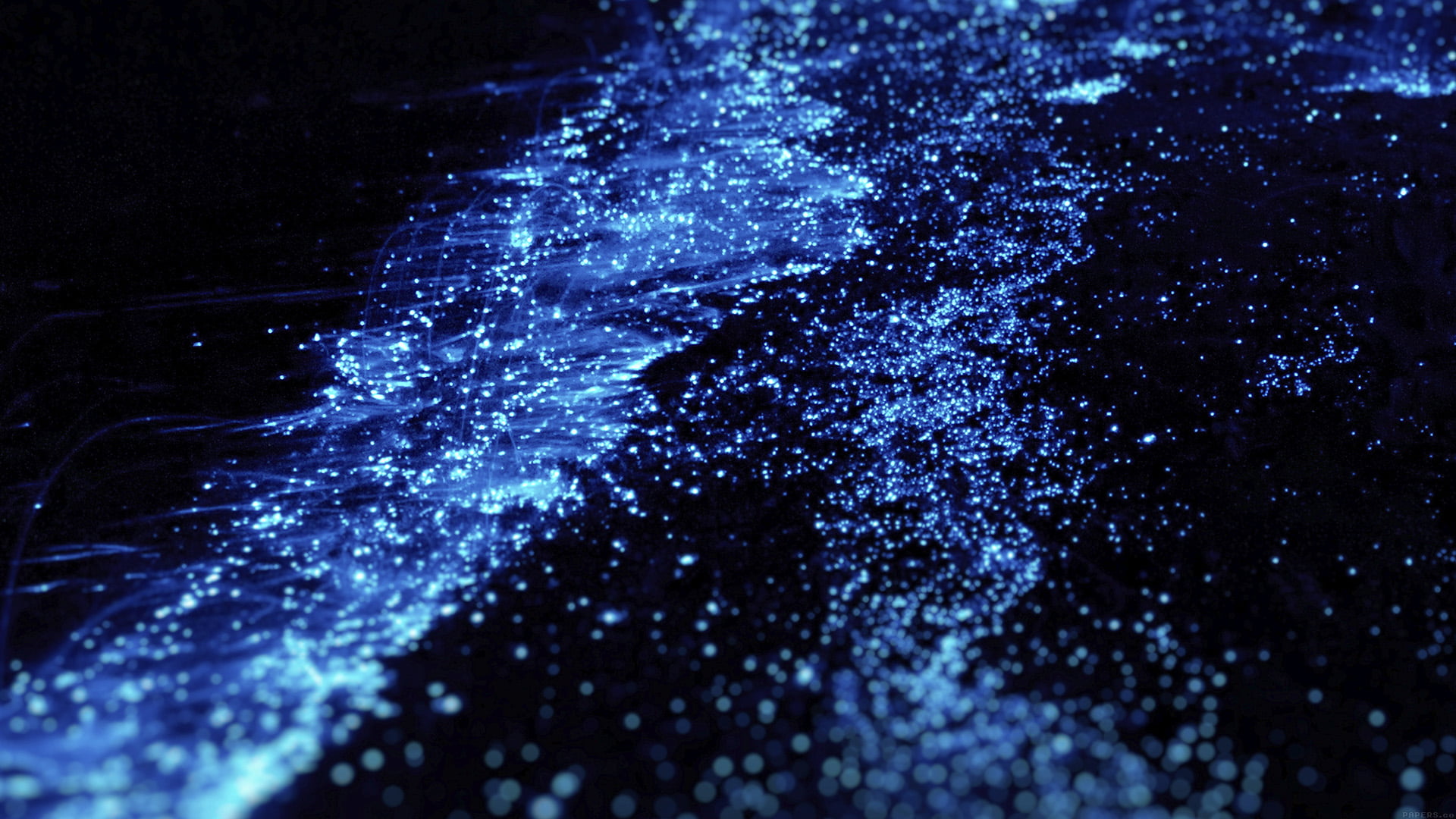 no people, untitled, nature, creativity, drop, glowing, dark, selective focus, abstract, night, water, Worms, close-up, indoors, illuminated, light - natural phenomenon, HD Wallpaper