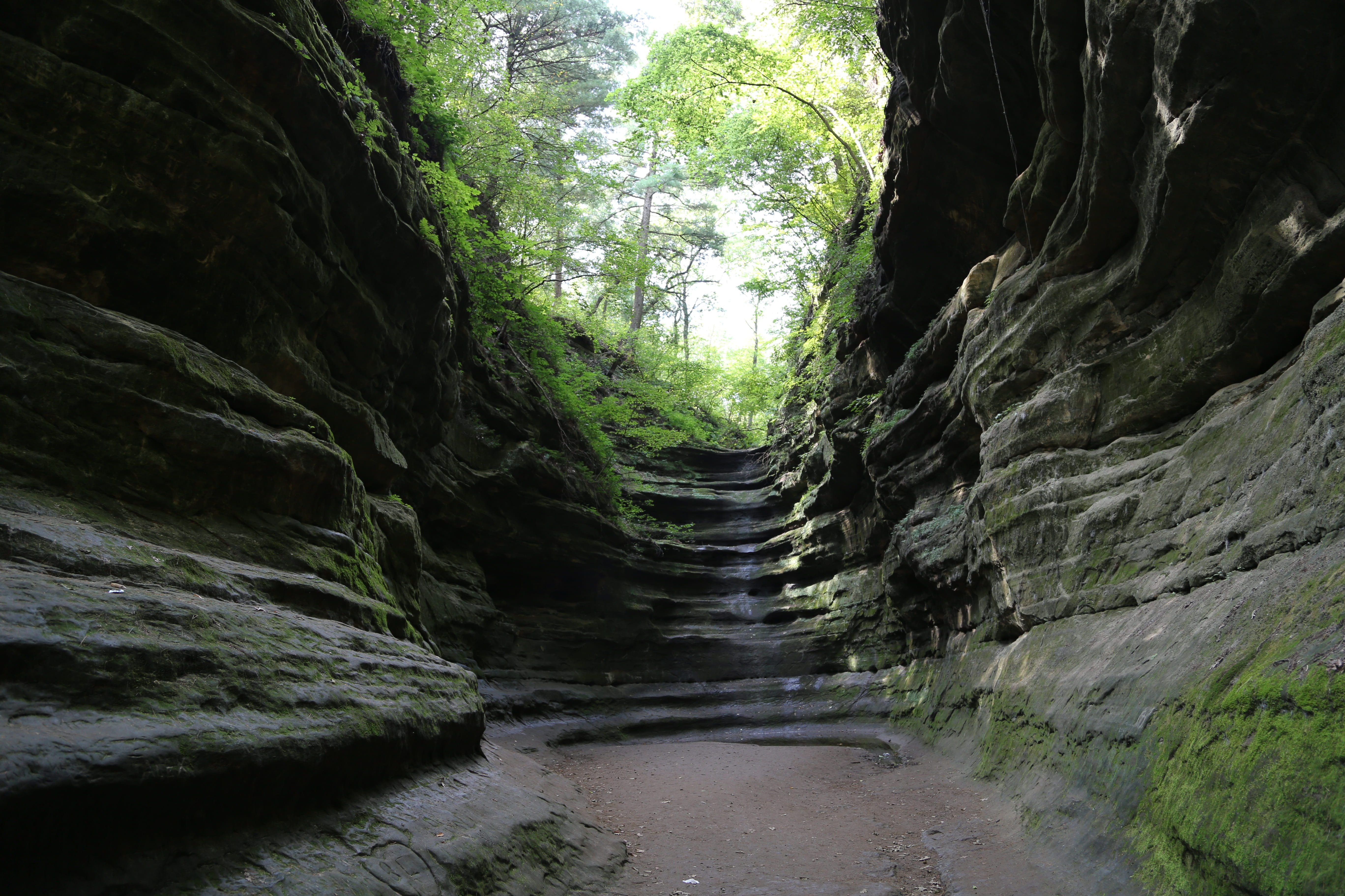 nature, plant, tourism, diminishing perspective, flowing, rock, rock formation, non-urban scene, water, day, state park, no people, illinois, scenery, direction, HD Wallpaper