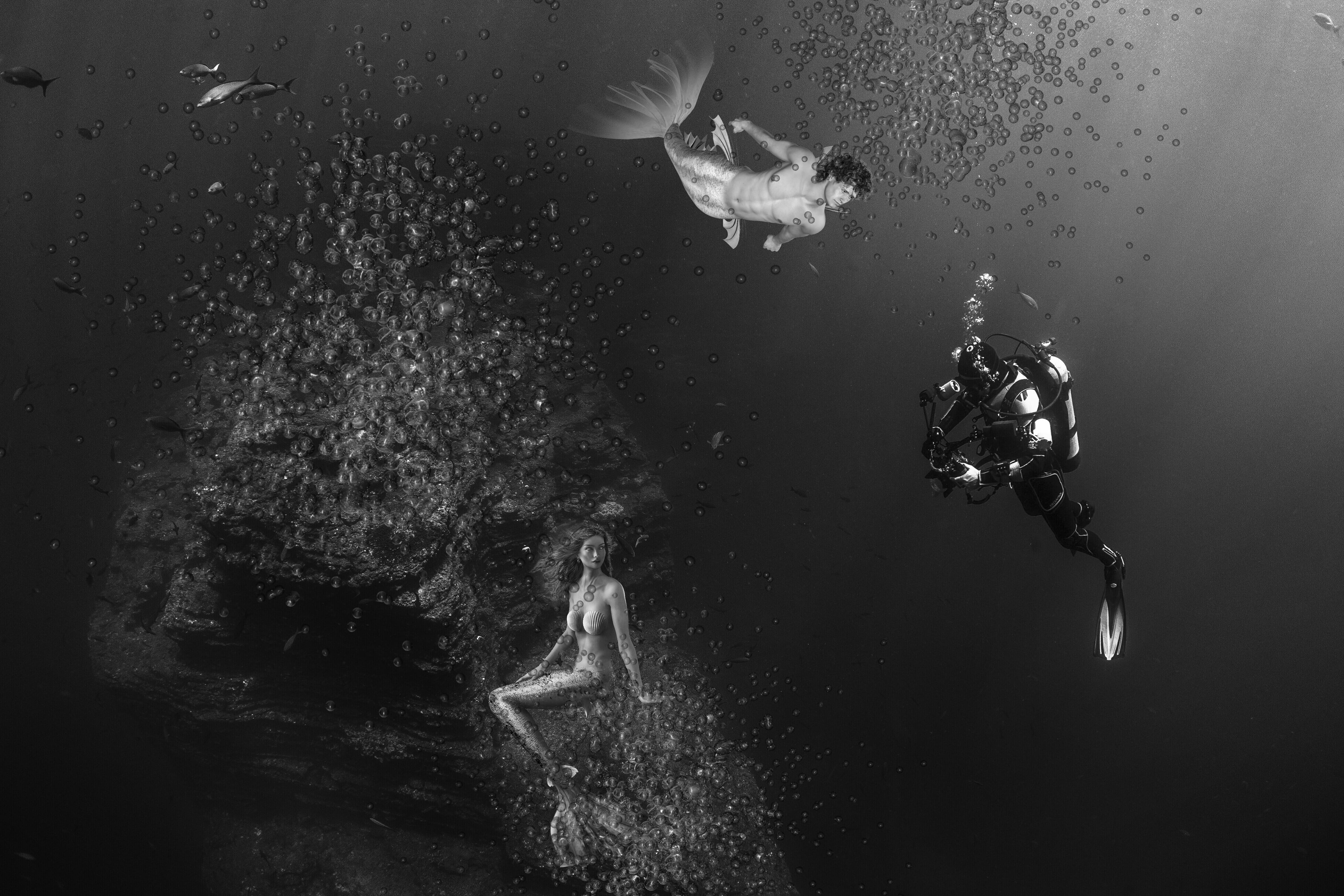 undersea, adventure, exploration, jealousy, the sea depth, animal wildlife, animal themes, no people, painting, vertebrate, jealous, marine, fish, Mystical, HD Wallpaper