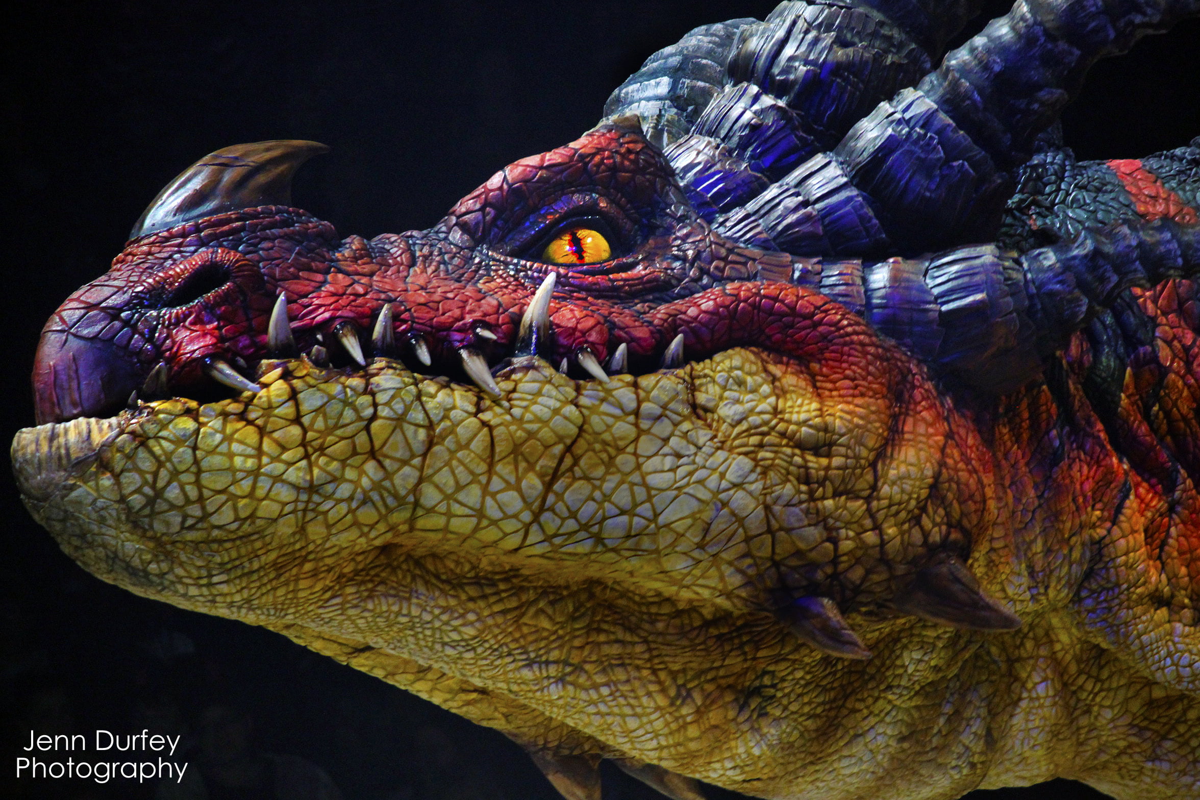 dragon, colorful, blue dragon, Mechanical, reptile, red, dinosaur, red and blue, brown, photo, blue, 1080P, animal, HD Wallpaper