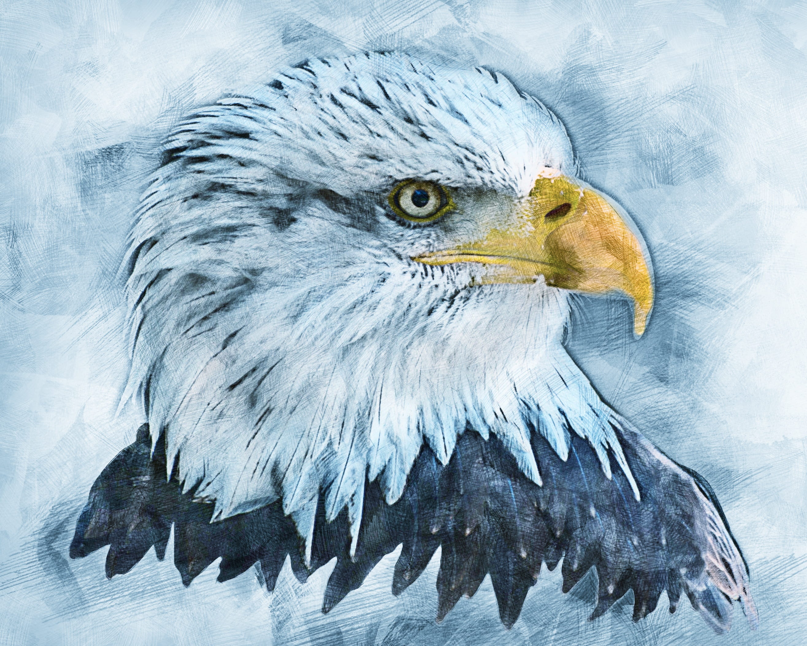 portrait, raptor, one animal, beauty in nature, bird, wildlife, adler, predator, usa, animal head, vertebrate, eagle - bird, bald eagle, nature, beak, outdoors, HD Wallpaper