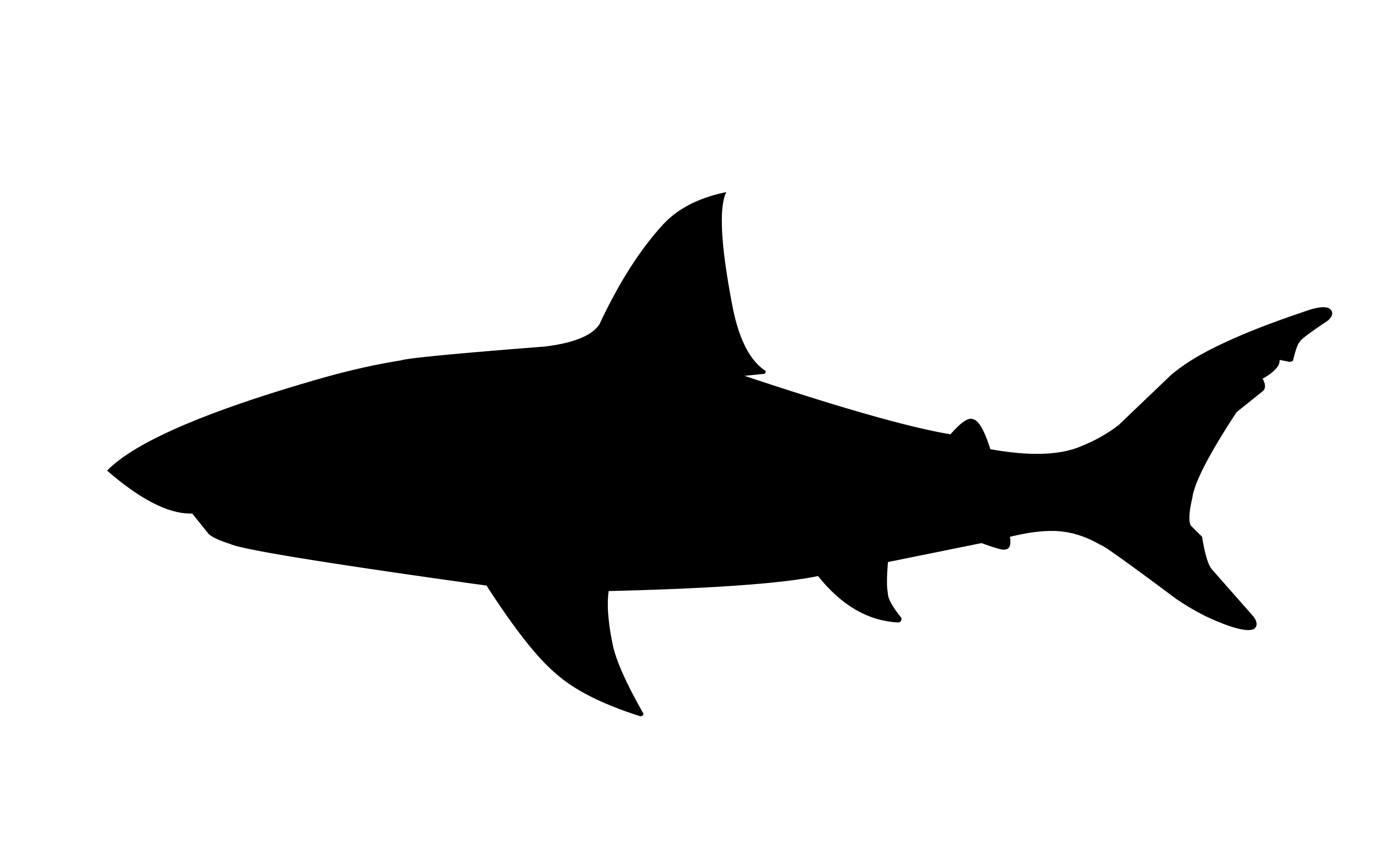 clipart, undersea, studio shot, no people, danger, big, animals in the wild, sea life, silhouette, jaws, bite, copy space, 4K, ocean, vertebrate, cut out, HD Wallpaper