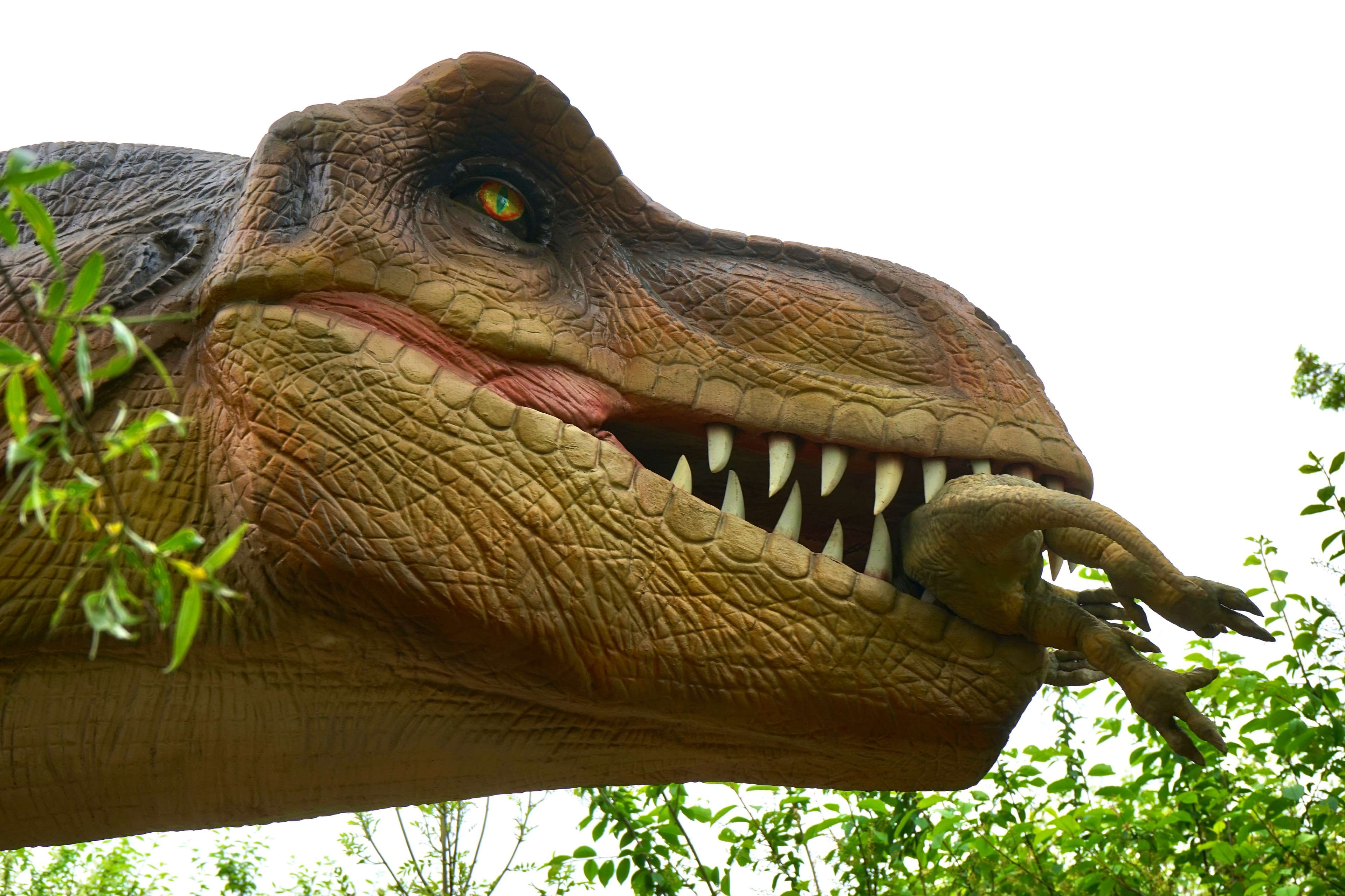 sky, teeth, carnivore, leaves, prehistoric, focus on foreground, animals in the wild, low angle view, animal body part, iguana, outdoors, dangerous, dinosaur, HD Wallpaper