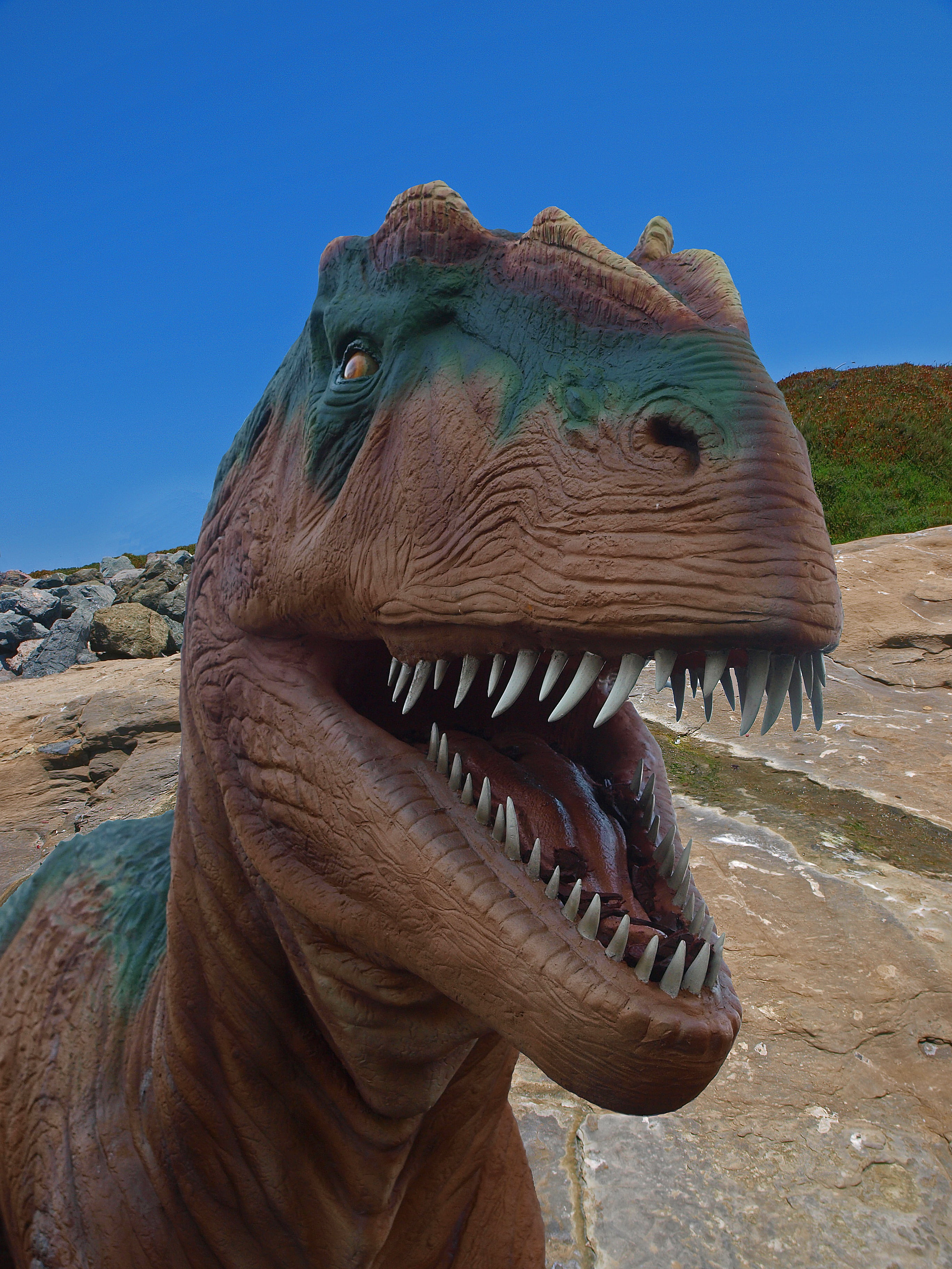 one animal, jurassic, extinct, animal body part, reptiles, 2K, animal head, brown, representation, large, strong, day, no people, mammal, d, animal, animal teeth, Phone HD Wallpaper