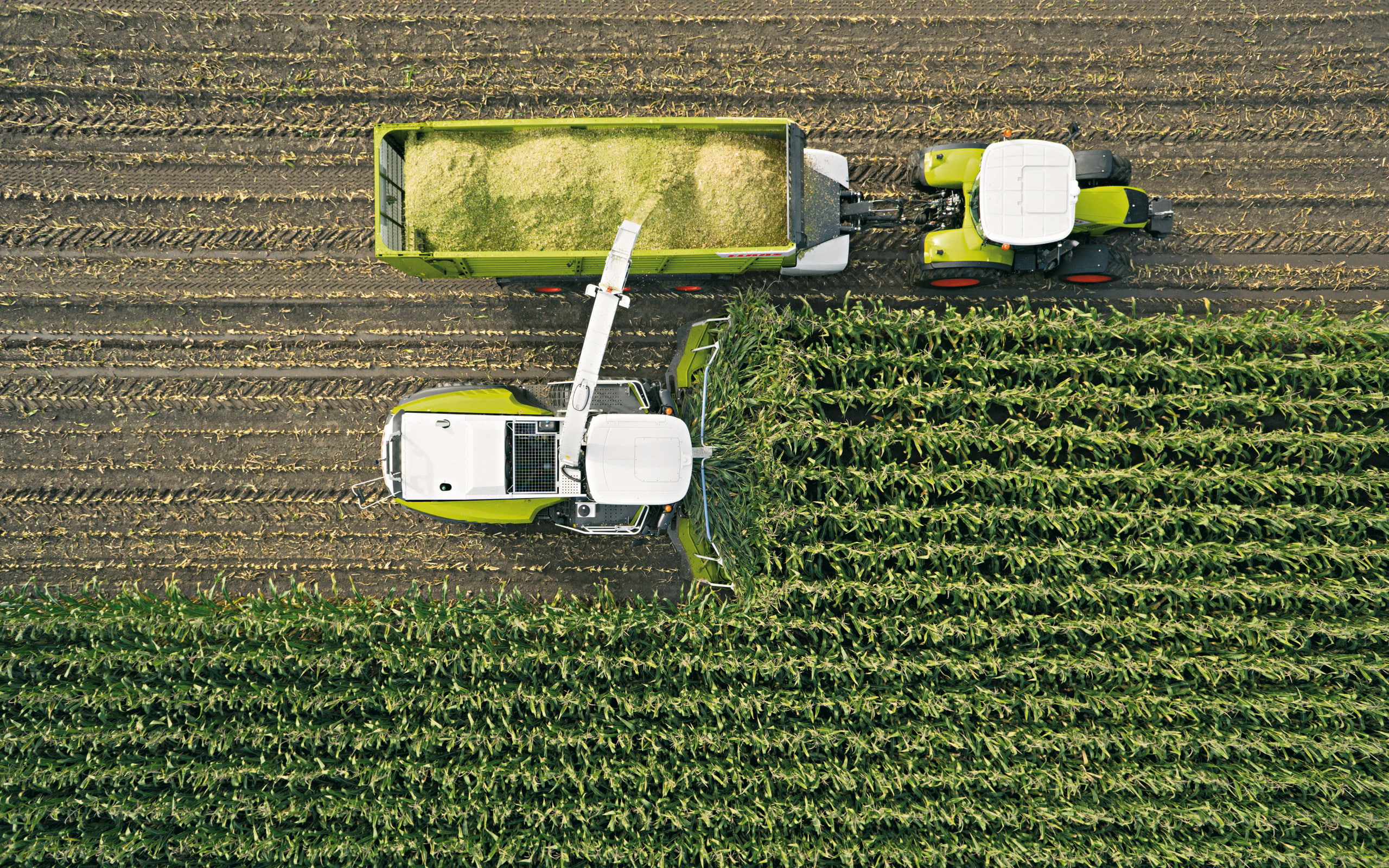 farmers, tractors, 2K, Claas, farming, HD Wallpaper
