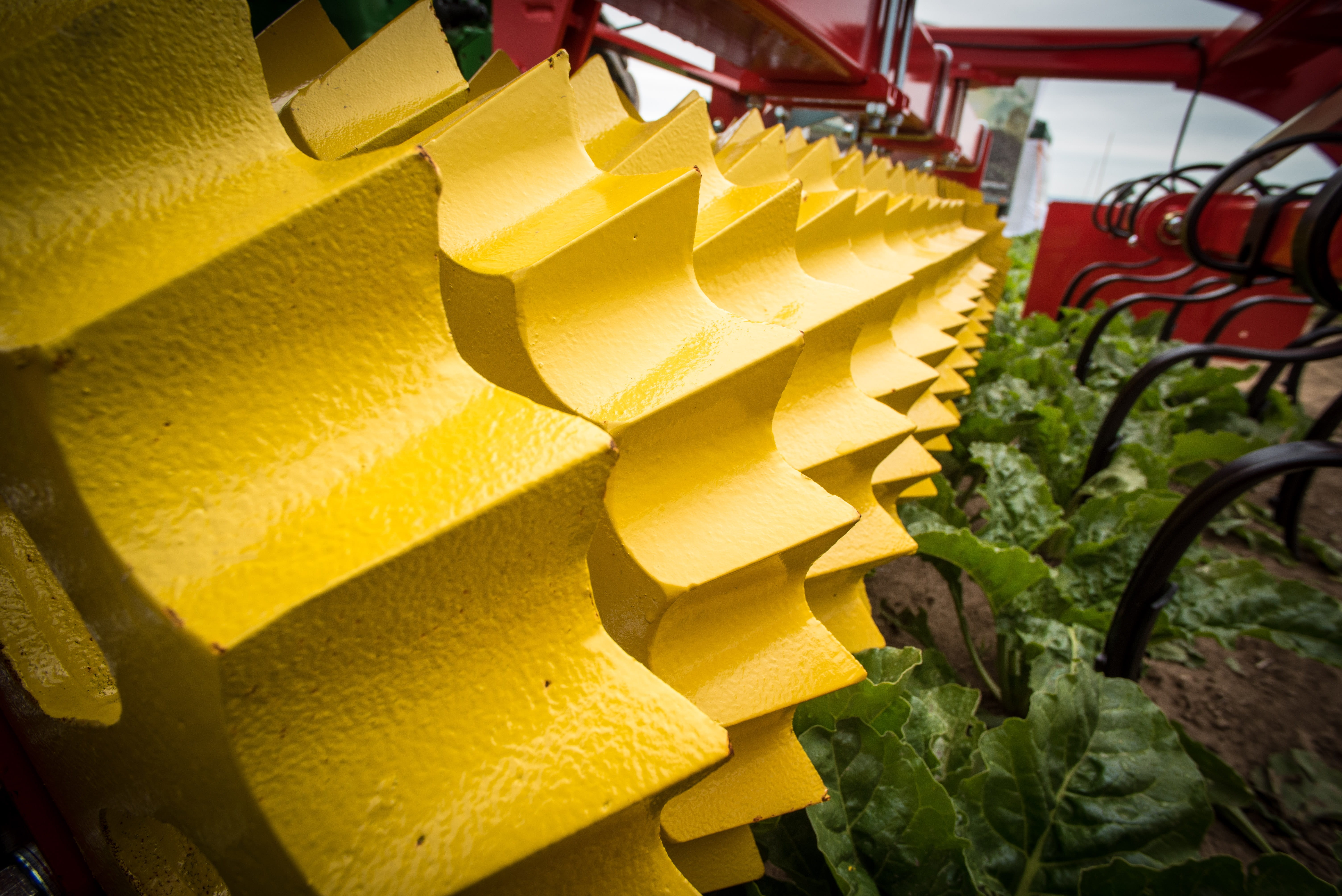 architecture, seedbed preparation, agro photo, packer, day, agricultural machine, plant, tug, roll, springtime order, abundance, freshness, fruit, food and drink, HD Wallpaper
