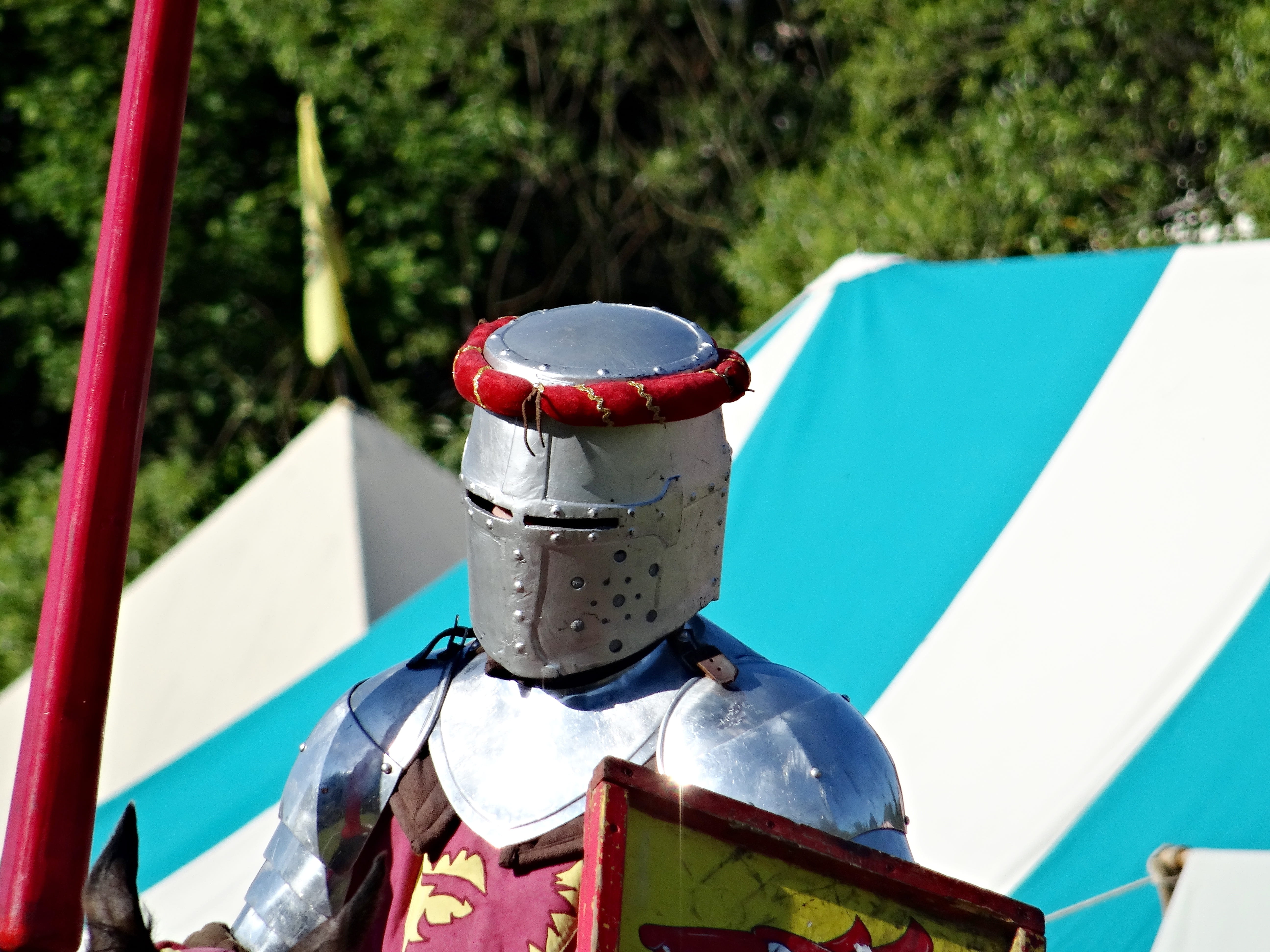 blue, focus on foreground, close-up, tree, fight, sunlight, Helm, no people, day, plant, head, metal, spectacle, mode of transportation, transportation, HD Wallpaper