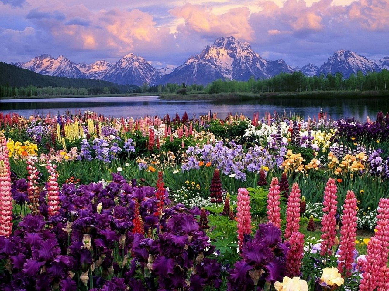 park - Man Made Space, green Color, vibrant Color, Lake, pond, photography, sky, no People, field, scenics, flowering plant, sunlight, colors, plant, beside, HD Wallpaper
