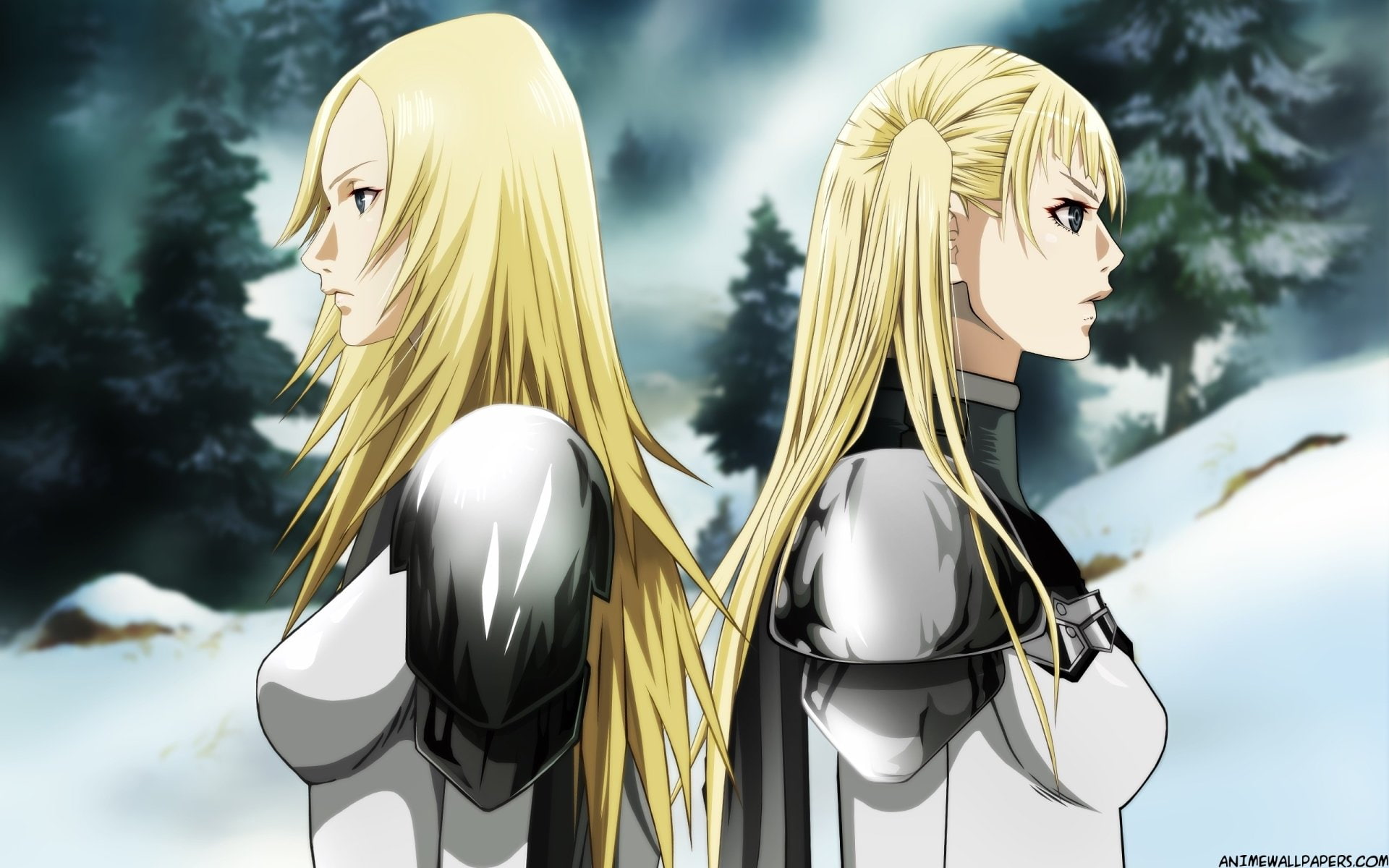1080P, characters, Claymore, girl, Anime, yellow, two, HD Wallpaper