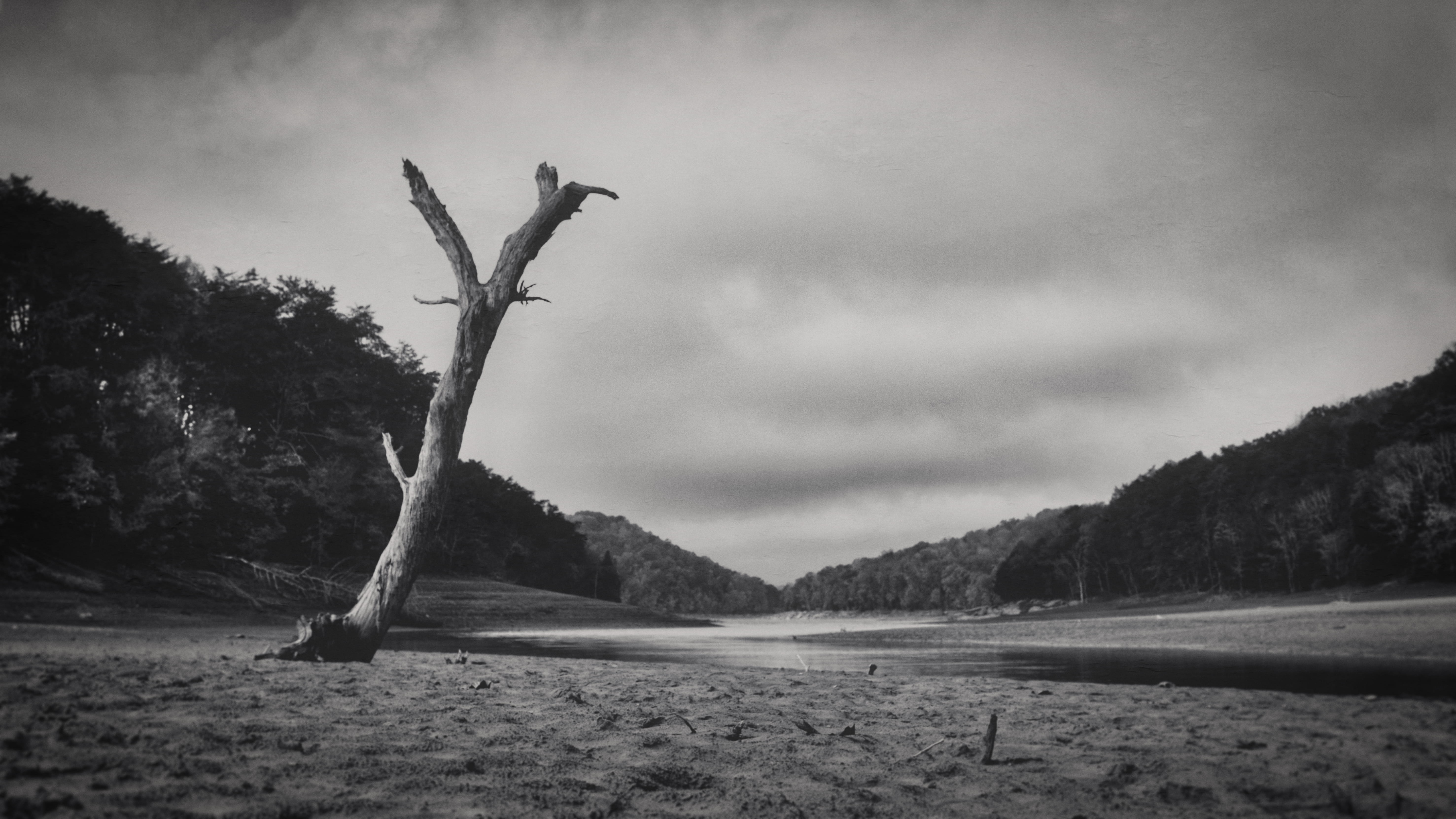 no people, cloud - sky, dead plant, sand, land, bandw, sky, wood - material, united states, day, driftwood, nature, morristown, desolation, outdoors, tn, HD Wallpaper