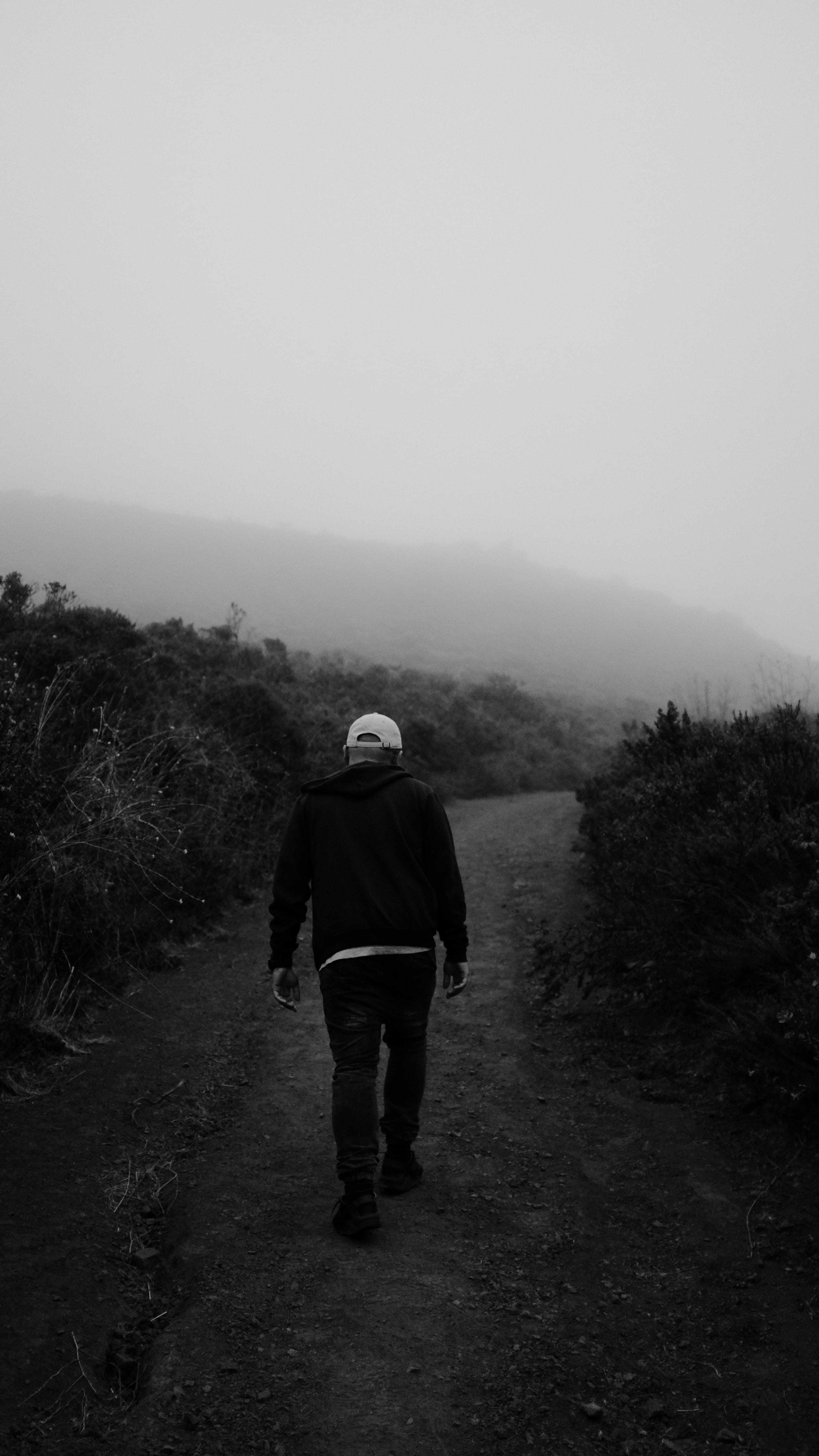 slacker hill, foggy, nature, tree, path, 5K, united states, land, environment, bandw, lifestyles, walking, men, leisure activity, hiking, one person, full length, Phone HD Wallpaper