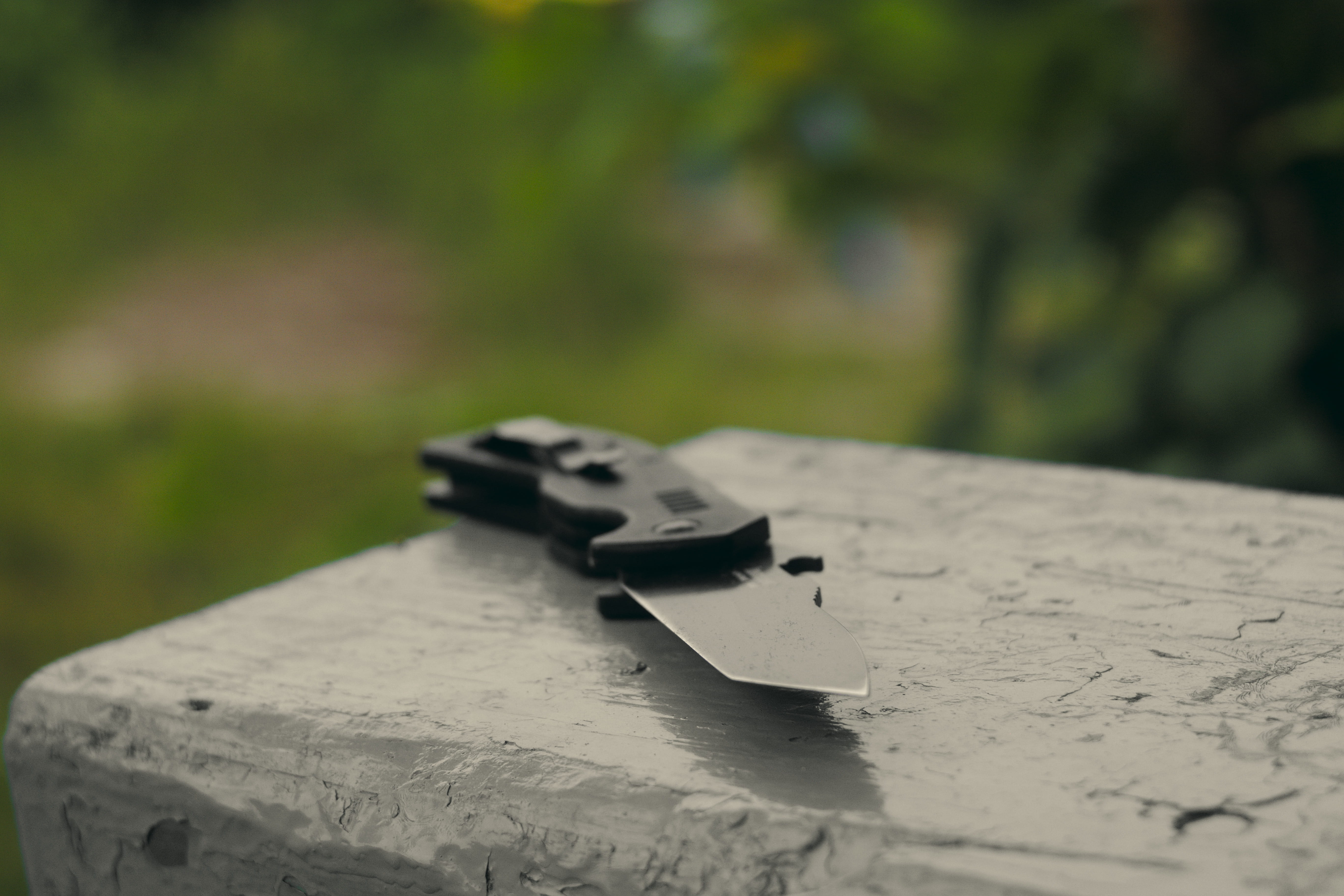 selective focus, table, plant, bokeh, paper, no people, focus on foreground, wood, black, nature, land, sunlight, history, still life, tactical, the past, HD Wallpaper
